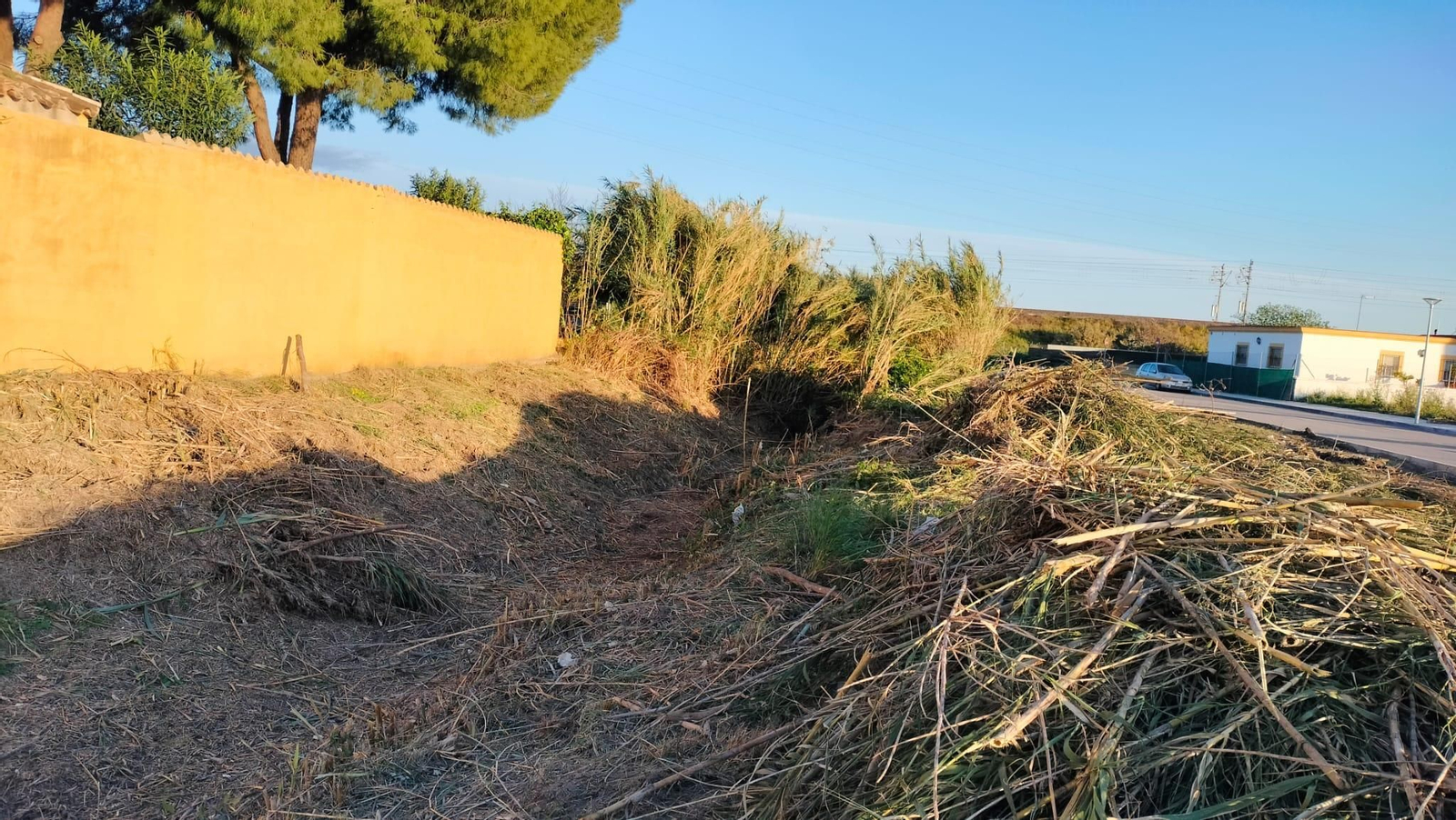 Trabajos de desbroce el pasado año, en el canal de Las Flores.