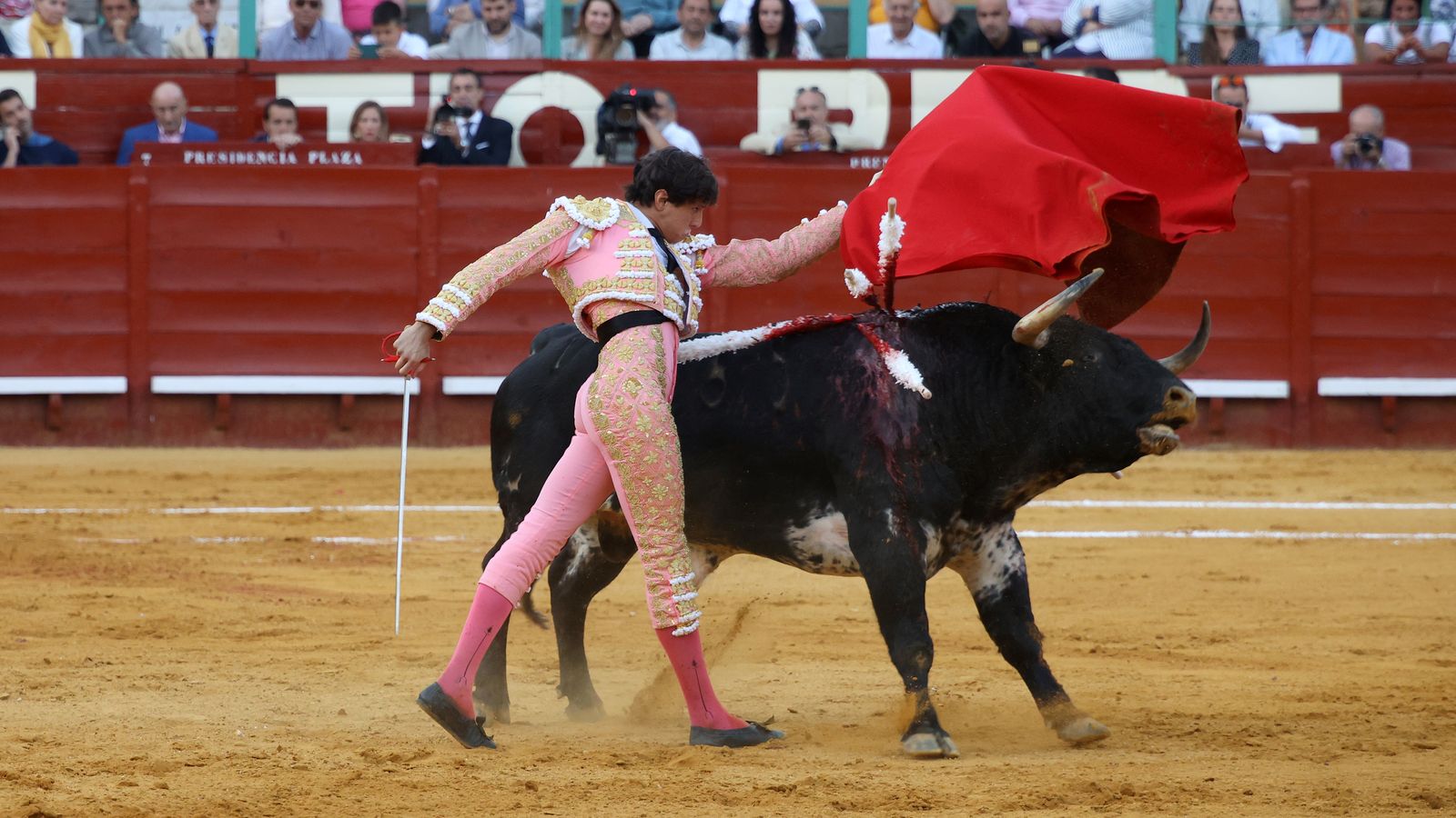 Tercera tarde de toros y última de la Feria de Jerez con Morante, Juan Ortega y Roca Rey