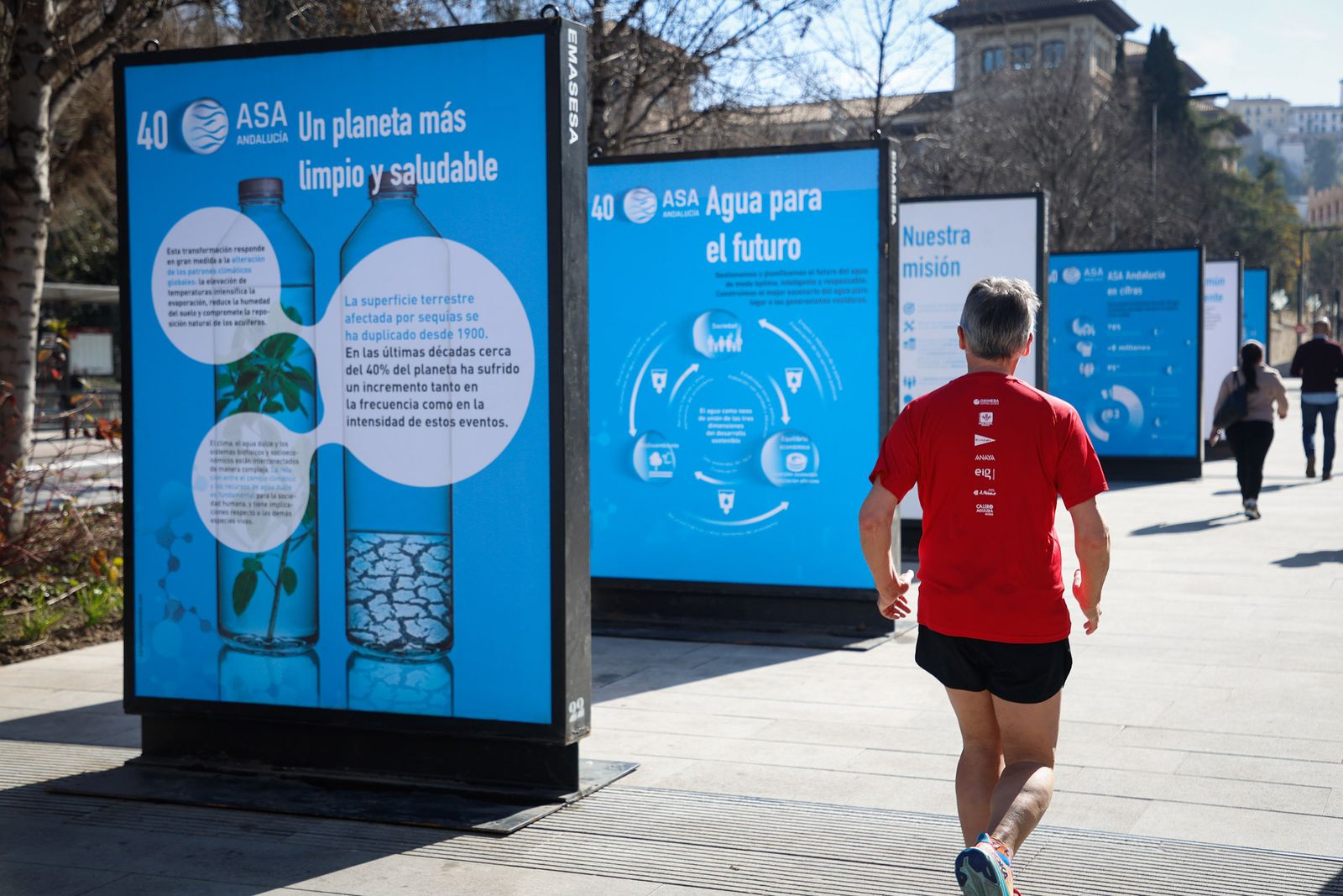La exposición está instalada en la Avenida de la Constitución.