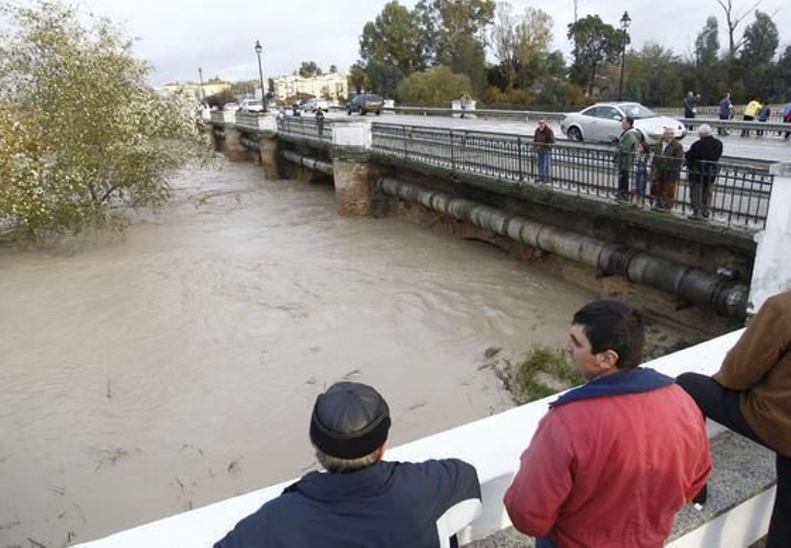 Los vecinos de Écija contemplan con temor el alto nivel del cauce.  Foto: Antonio Pizarro