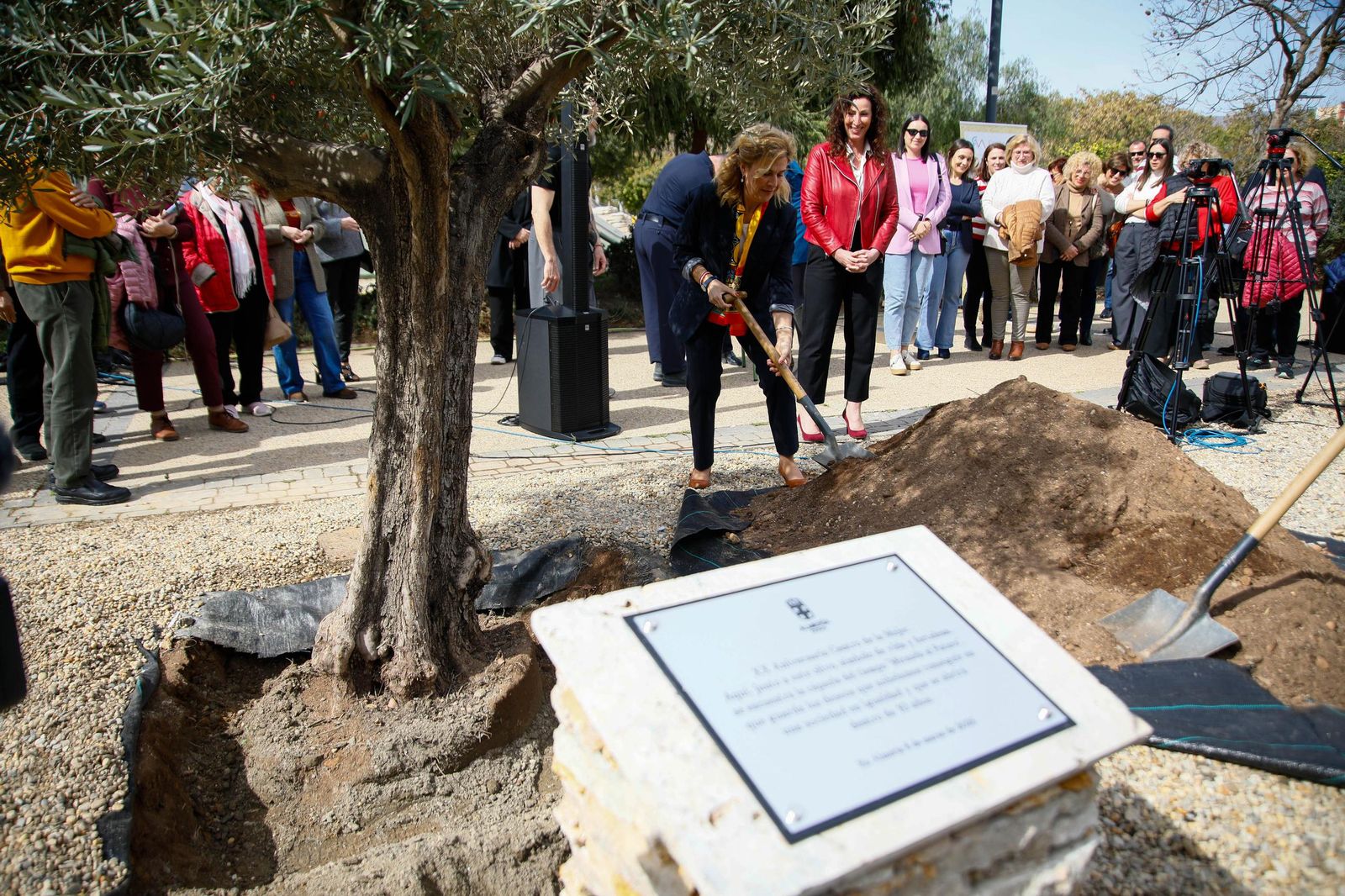 Las imágenes de la plantación de un olivo y el entierro de una cápsula del tiempo