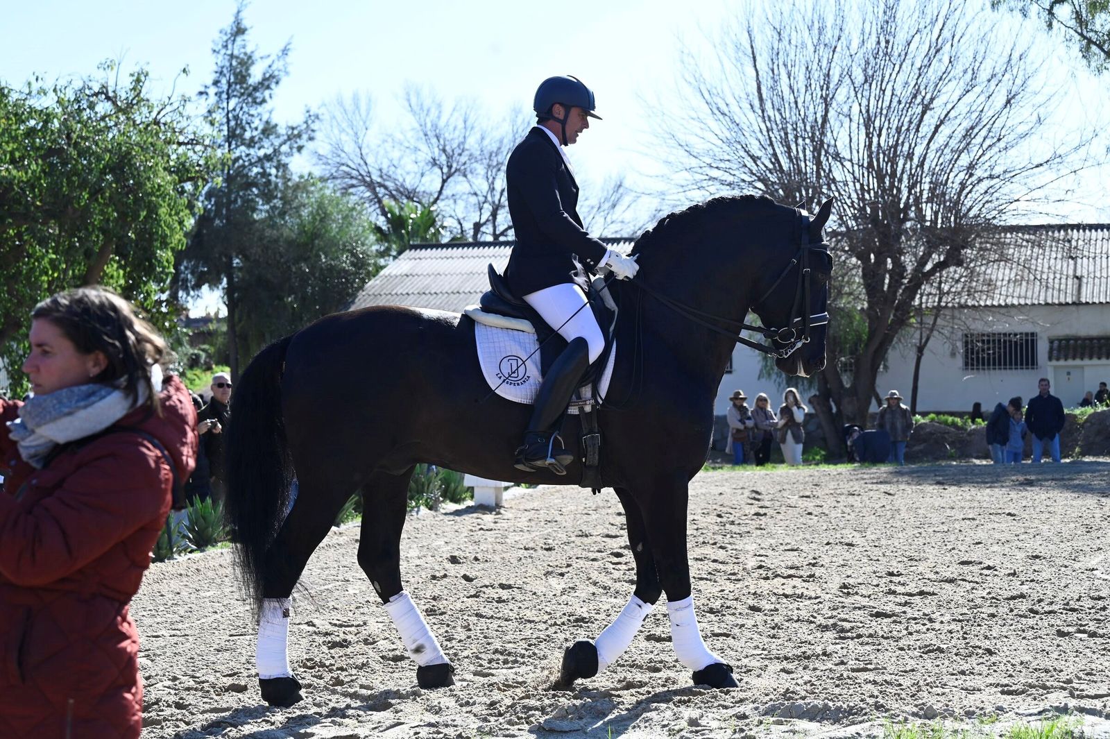 La Presentación de Sementales PRE 2026 en Córdoba, en imágenes