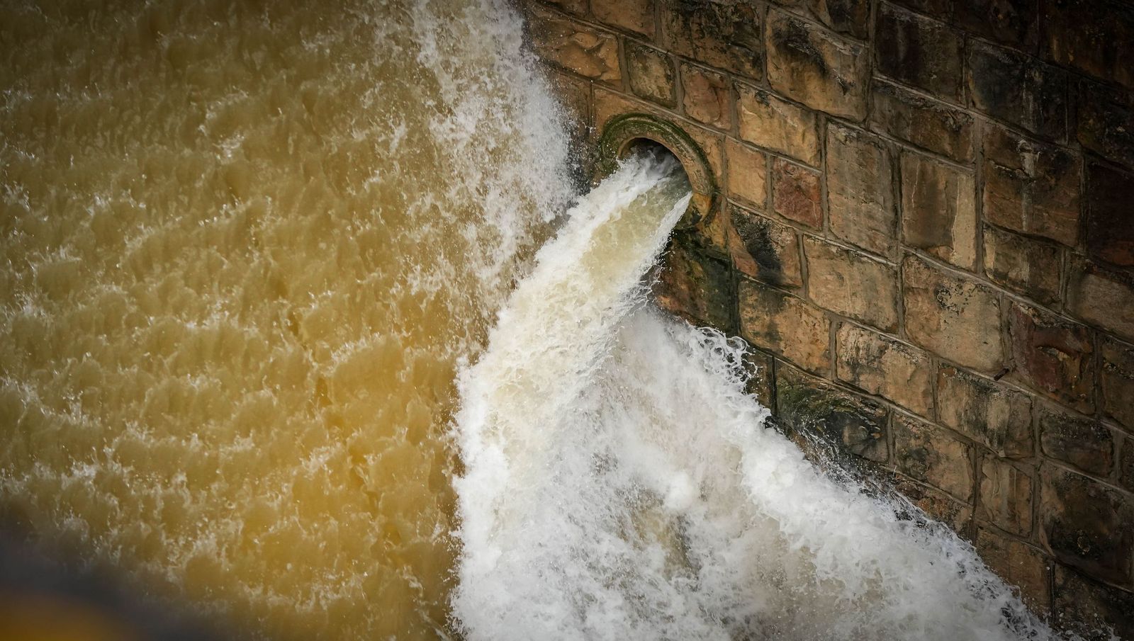 Imágenes del estado actual de los embalses de los Hurones, Guadalcacín y Bornos