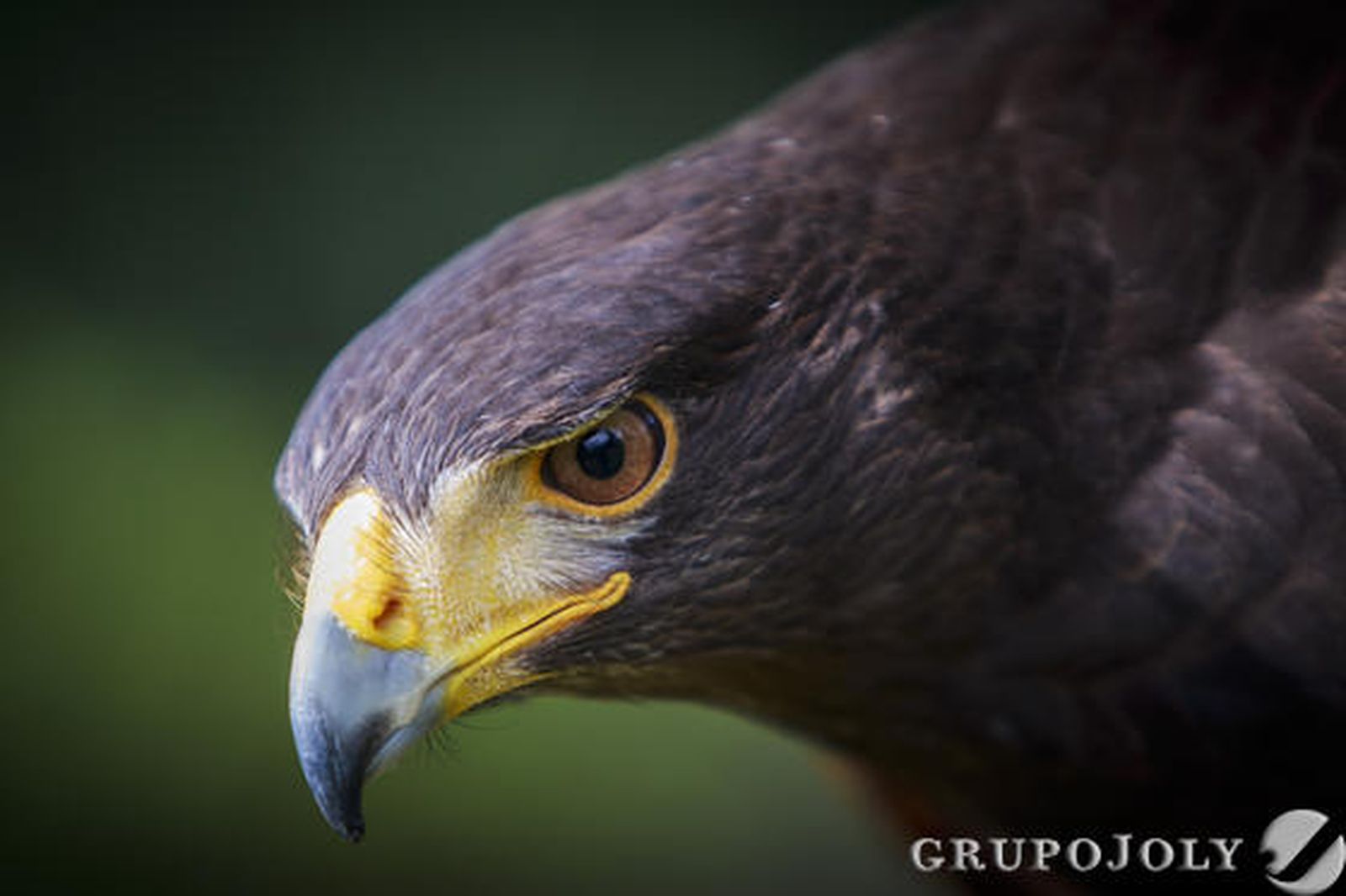 Foto: Julio Gonzalez