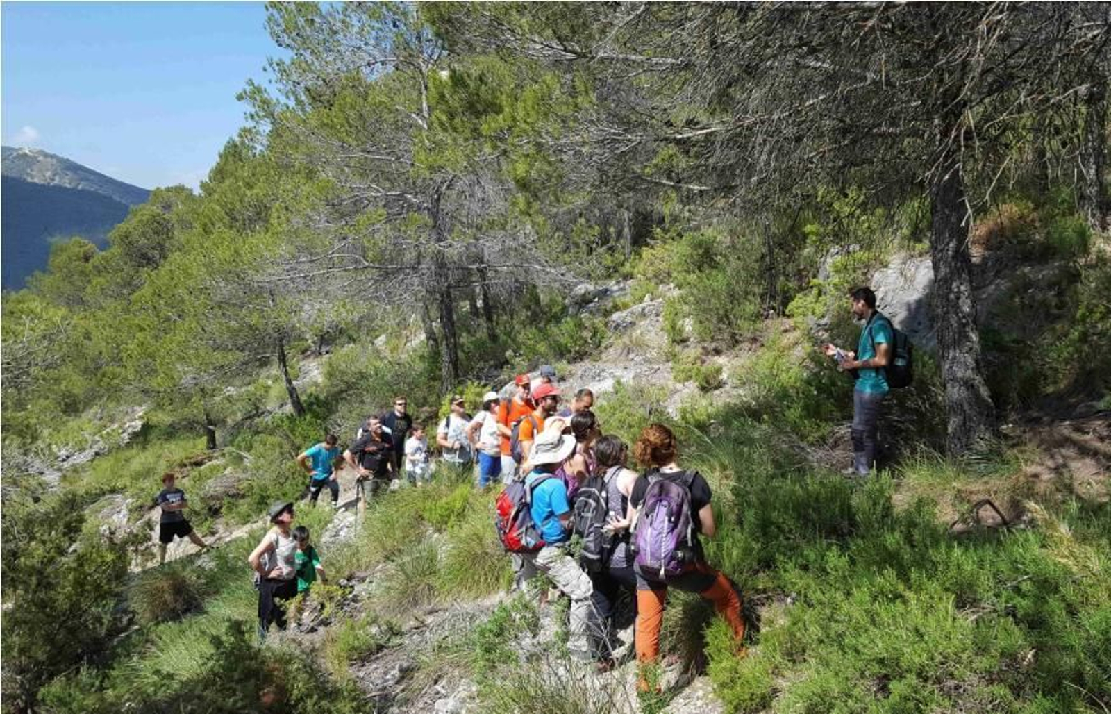 El grupo conocerá la flora más destacada del parque natural en plena explosión de la primavera. El grupo conocerá la flora más destacada del parque natural en plena explosión de la primavera.