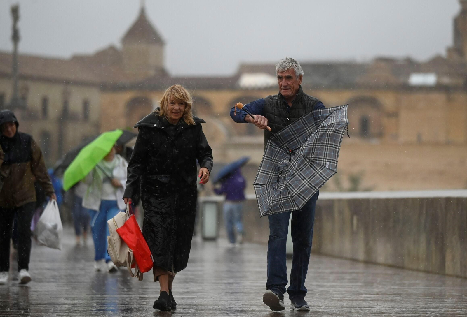 El paso de la borrasca Claudia por Córdoba en imágenes