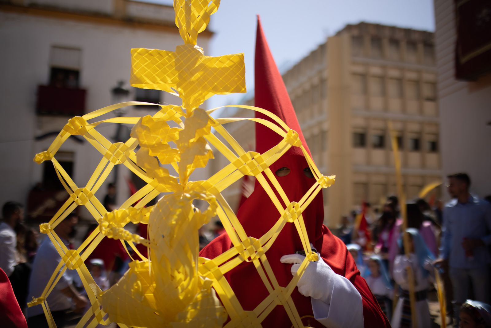 Imágenes del Domingo de Ramos: Hermandad de la Borriquita