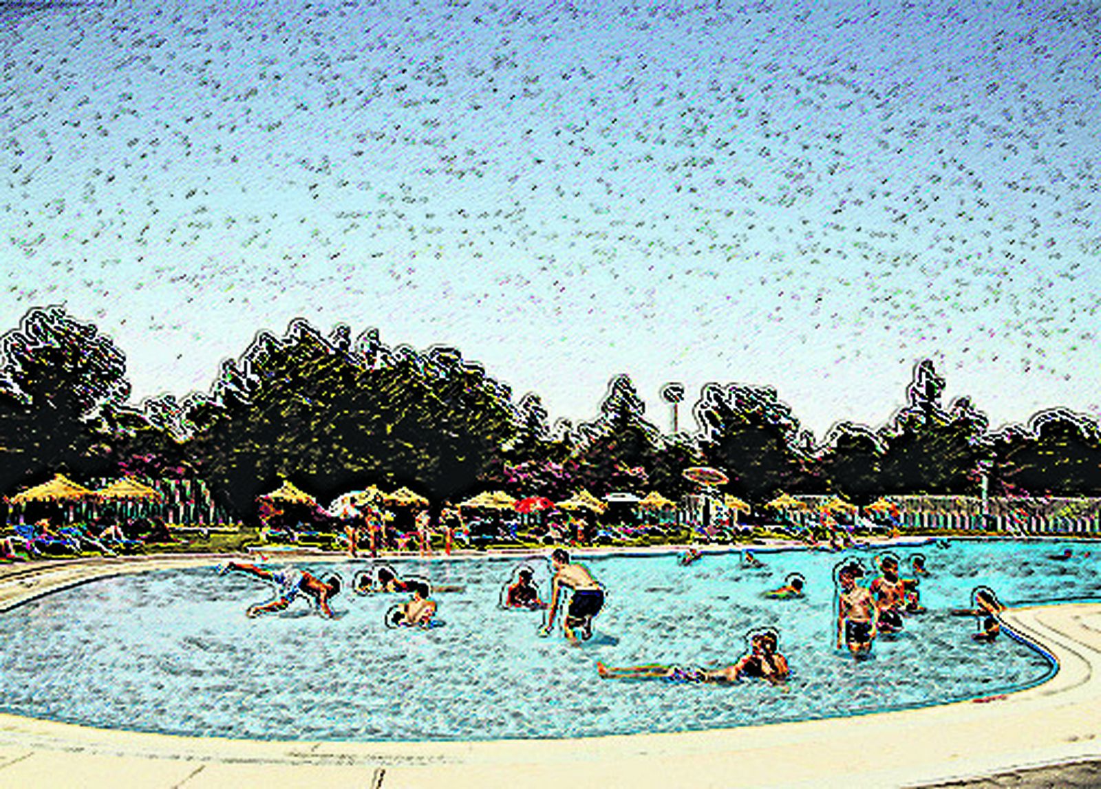 El cargante, especie peligrosa en verano