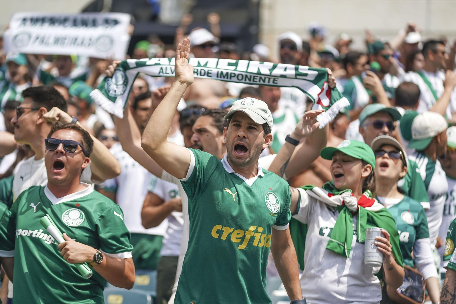 Palmeiras-Botafogo (50).jpg