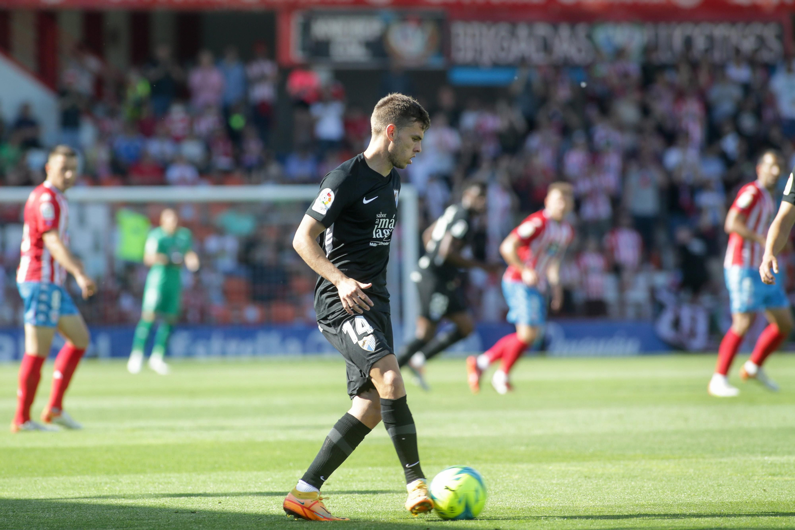 Las fotos del Lugo - Málaga CF