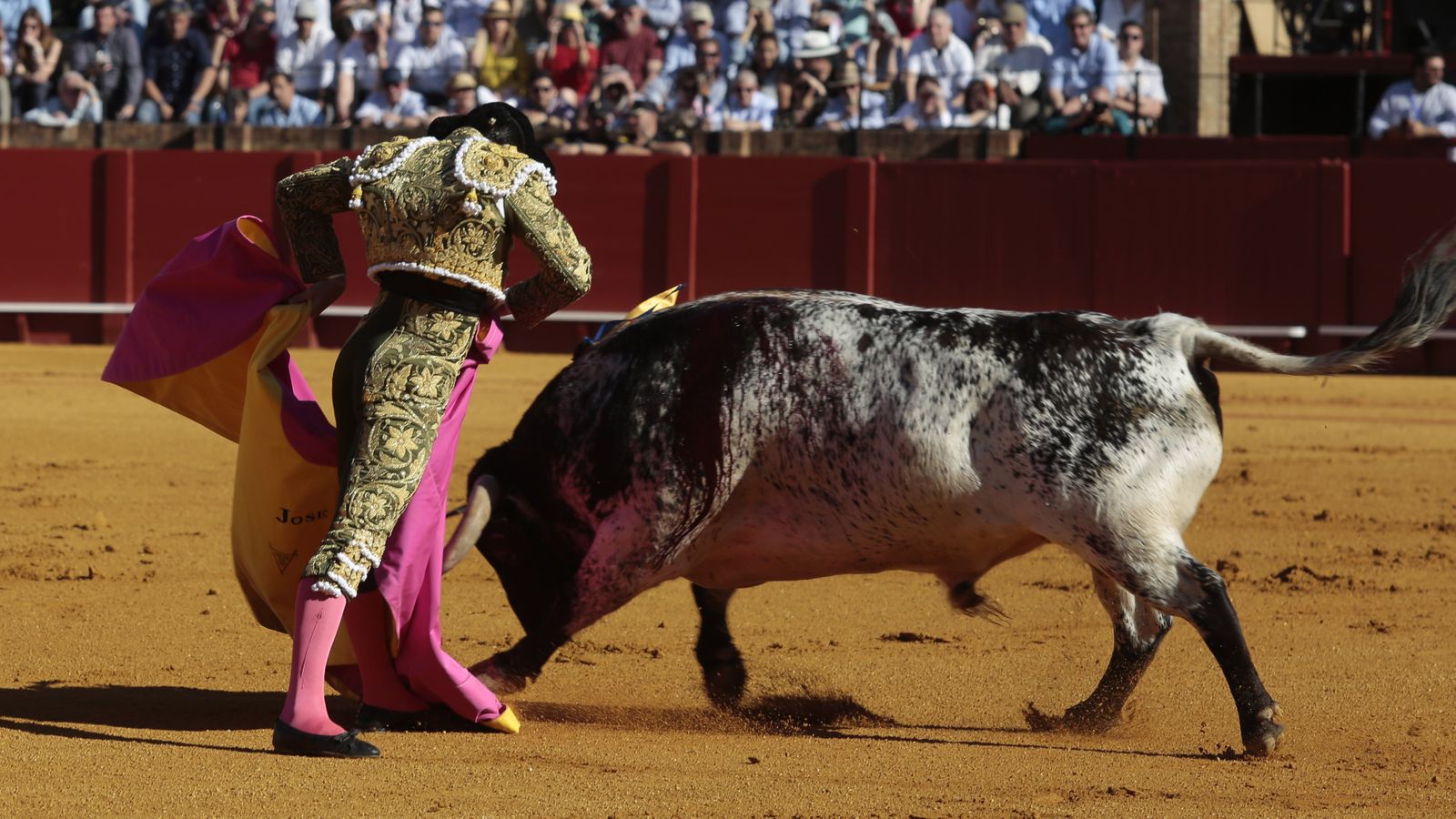 las mejores imágenes de la feria taurina de Sevilla