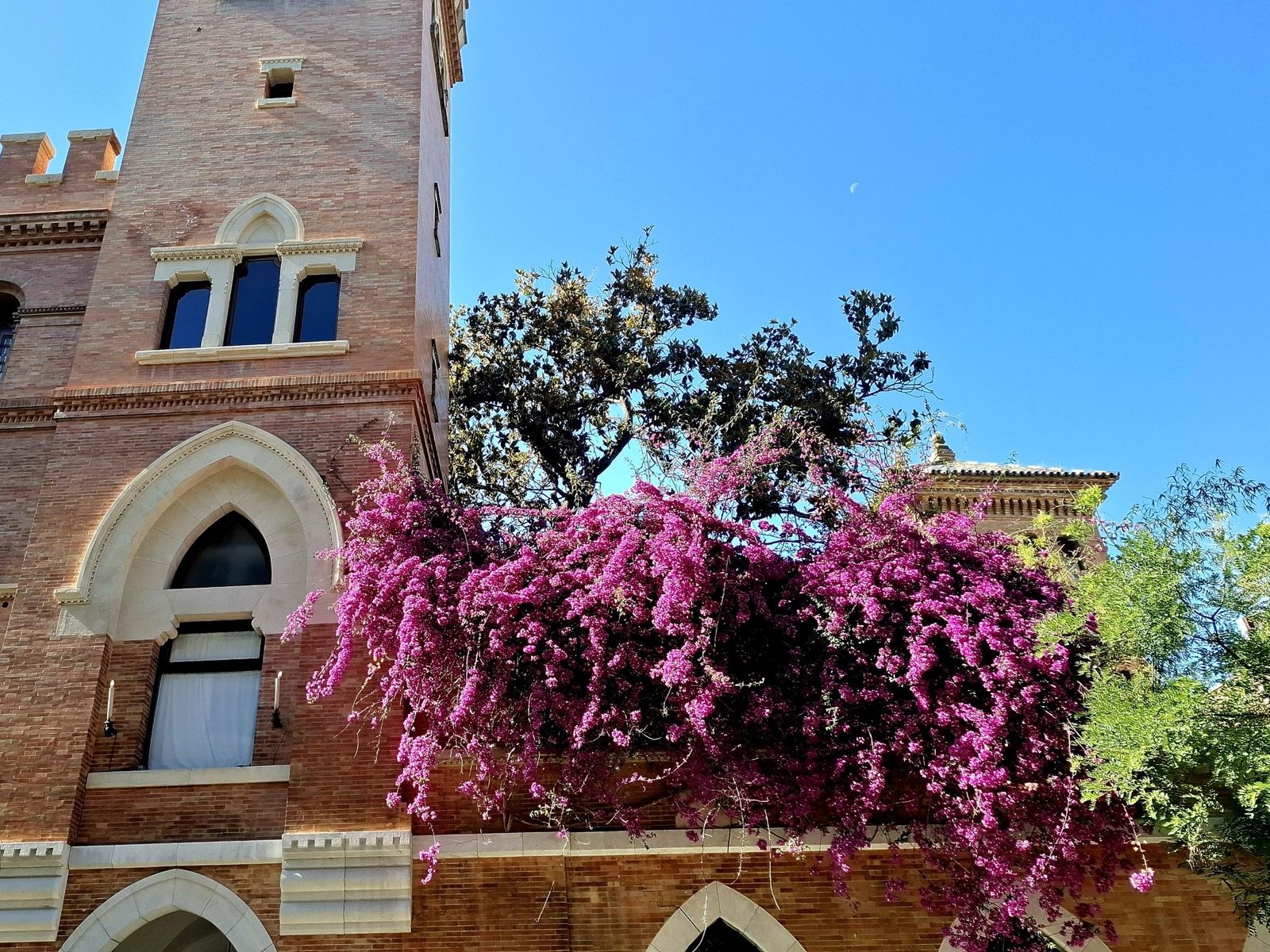 Paseando entre buganvillas