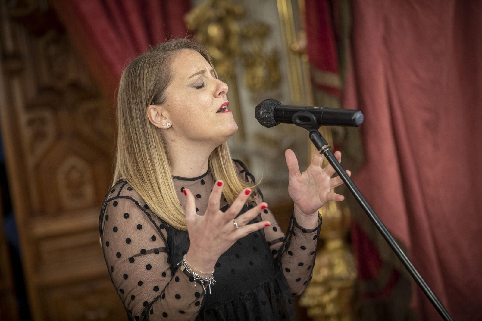 Imágenes de la distinción de Manuel Alejandro como Hijo Predilecto de la Provincia de Cádiz