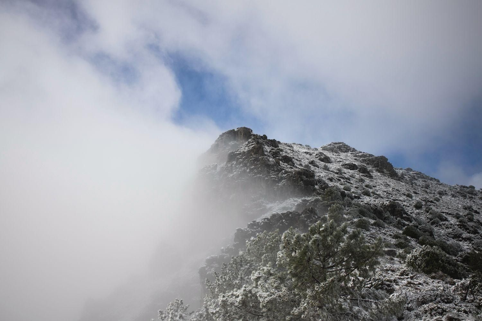 Imágenes de nieves en la Sierra de Cádiz este Martes Santo
