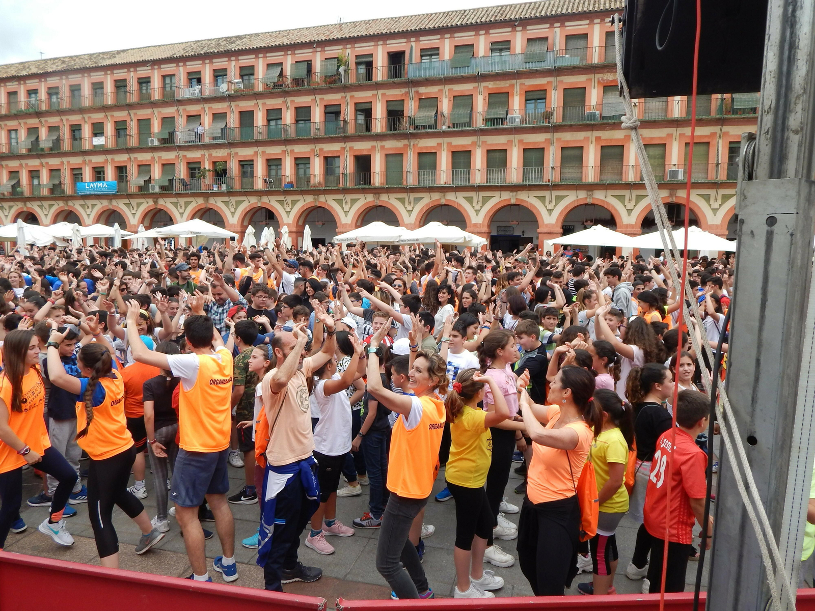 Más de 1.600 estudiantes participan en la quinta edición de Educación se orienta al Deporte