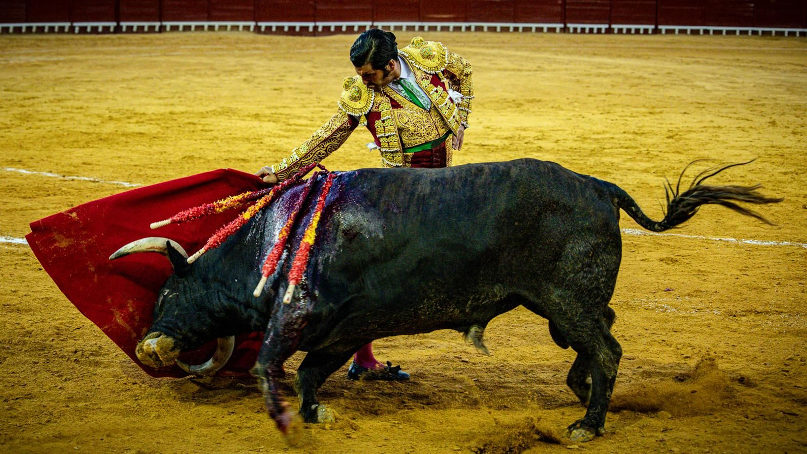 Las imágenes de la corrida de toros en El Puerto: Morante, Talavante y Juan Ortega