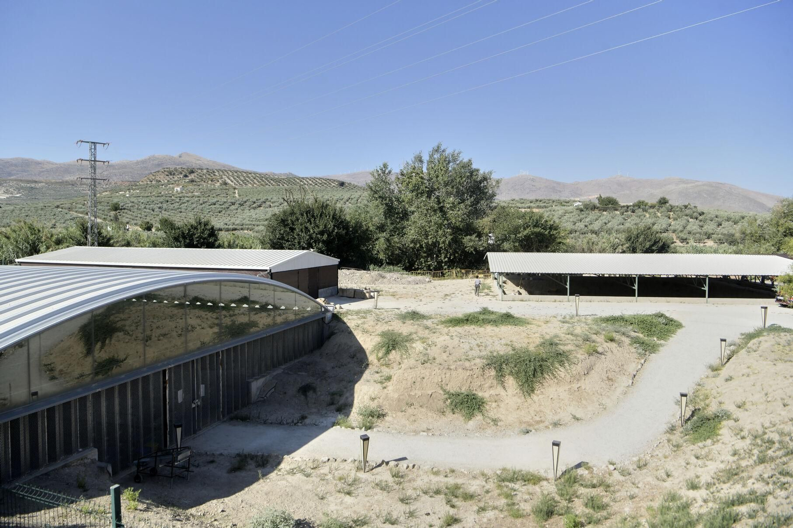 Vista general de la Villa Romana de Salar, en la que las carpas serán unificadas en una sola