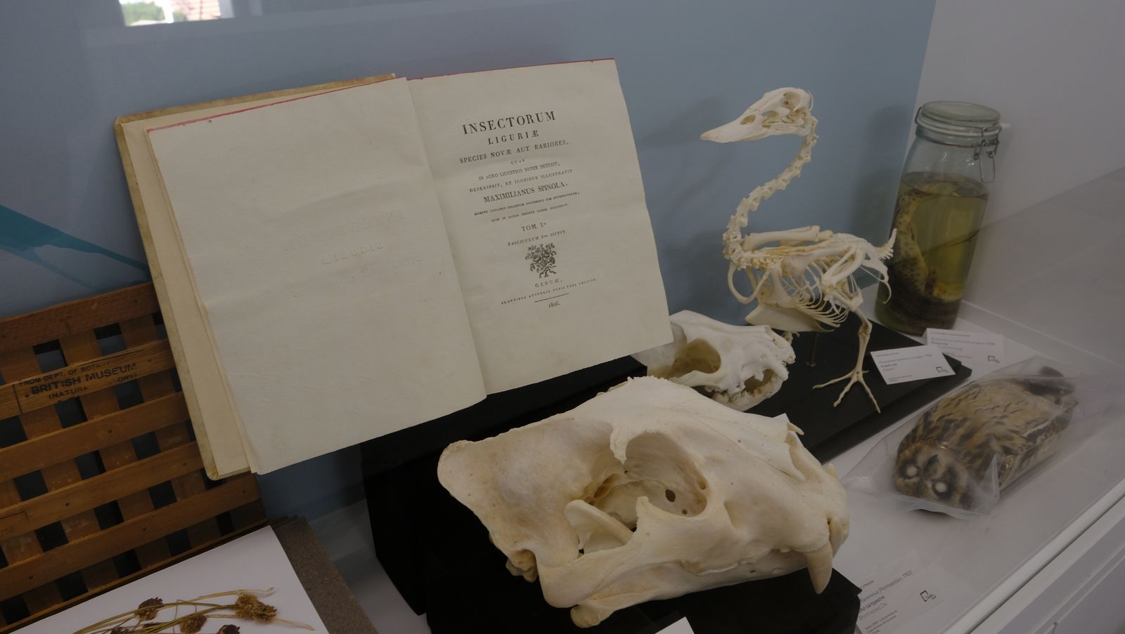 Las mejores imágenes del Pabellón de Historia Natural de la UAL