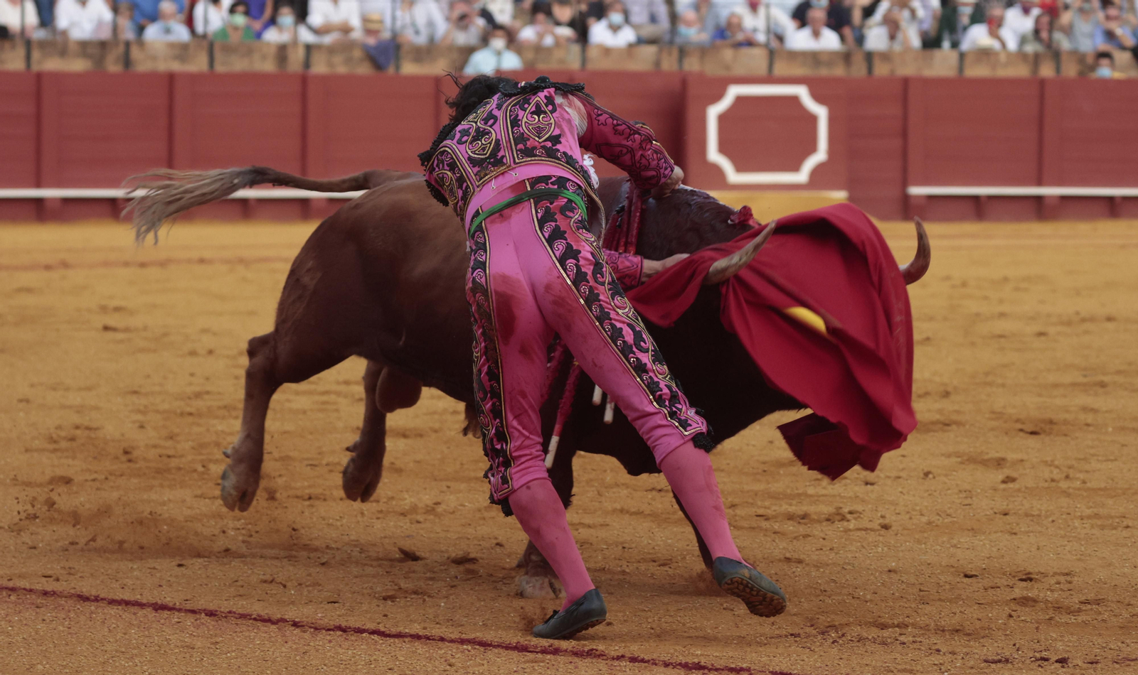 Las imágenes del triunfo de Morante en San Miguel