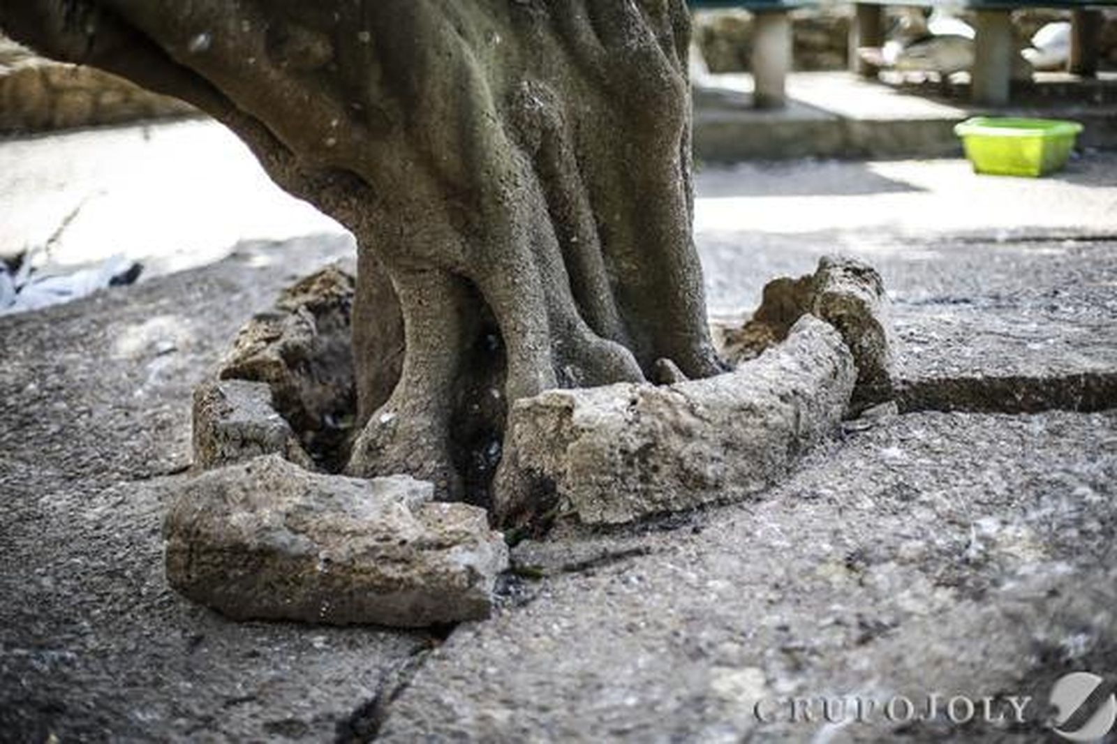 Foto: Julio Gonzalez