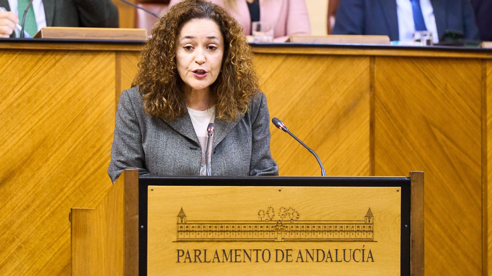 Inmaculada Nieto en la tribuna del Parlamento.