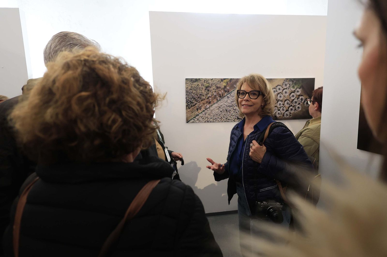 Fotos de la exposición 'Yerba, el corazón verde de la transhumancia' de Katy Muñoz