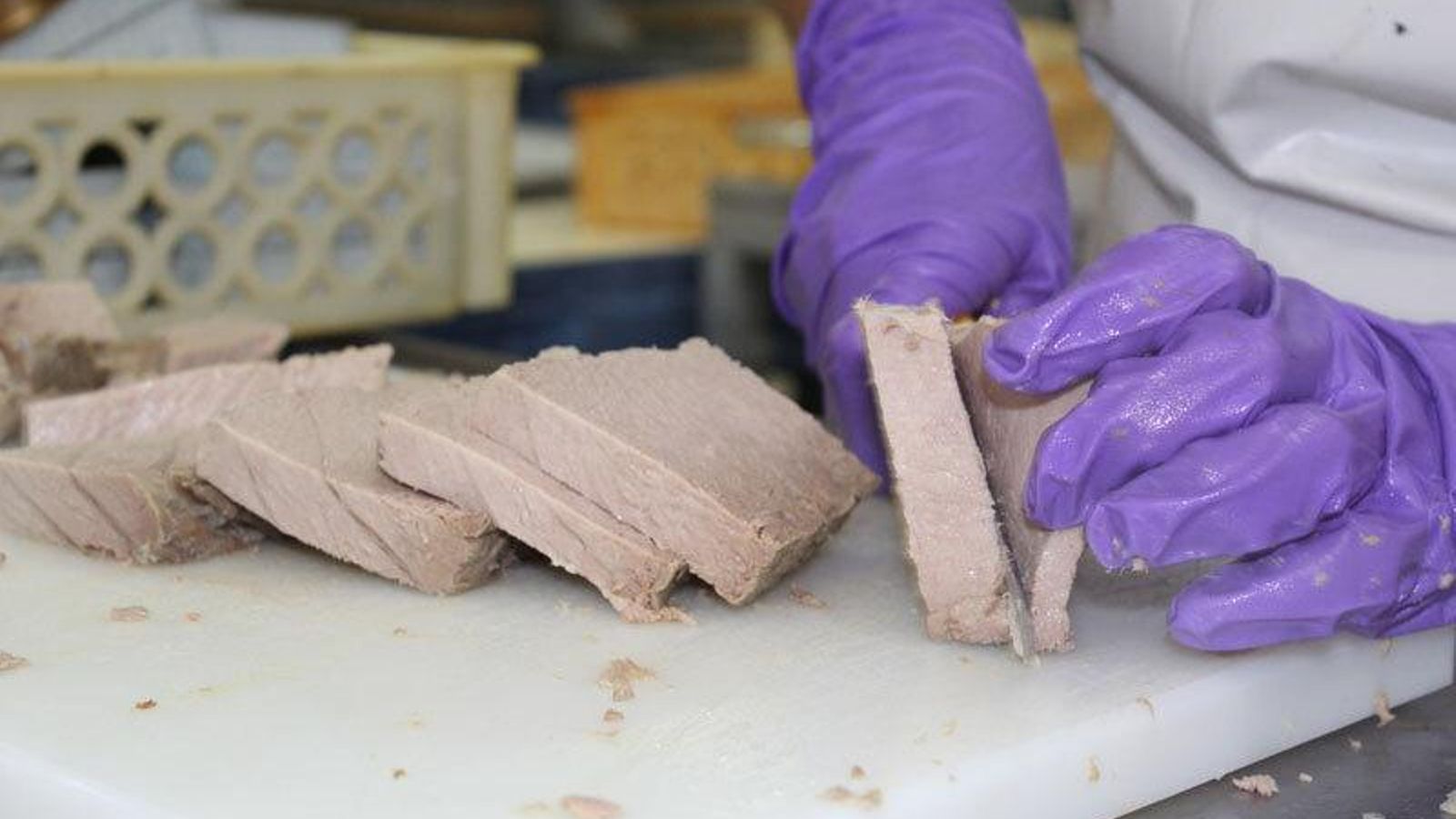 Conservas de melva de "La Tarifeña"