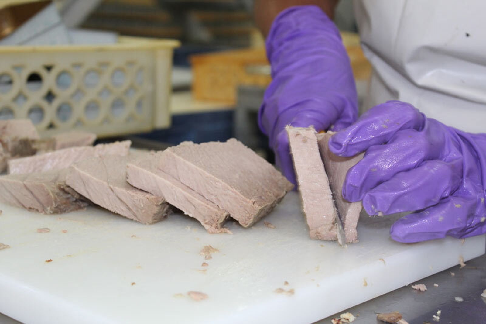 Conservas de melva de "La Tarifeña"