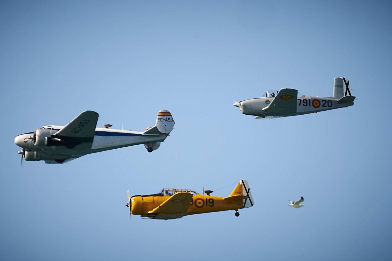 Festival aéreo en Rota