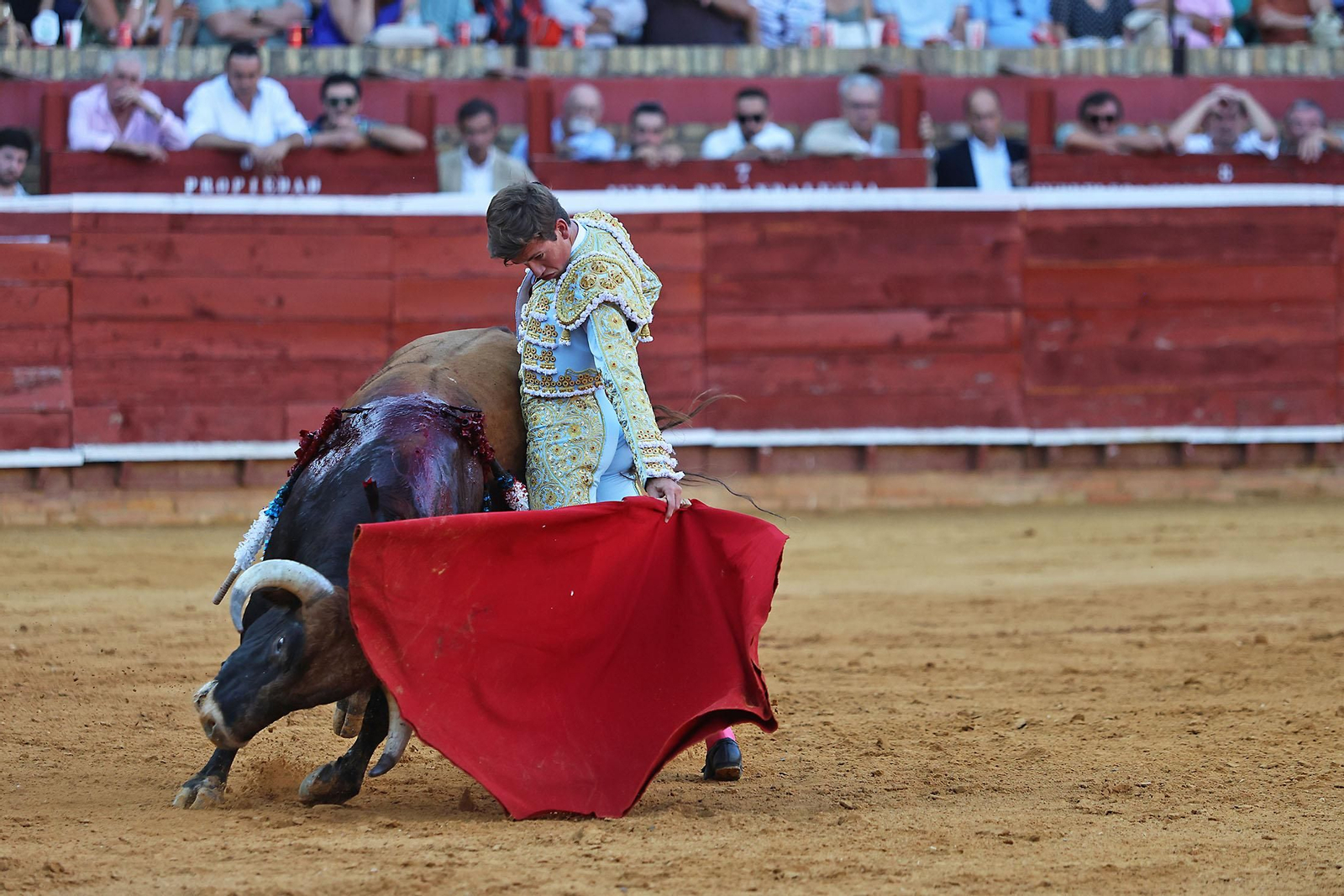 Toros La Merced 2024 Novillada con picadores(
