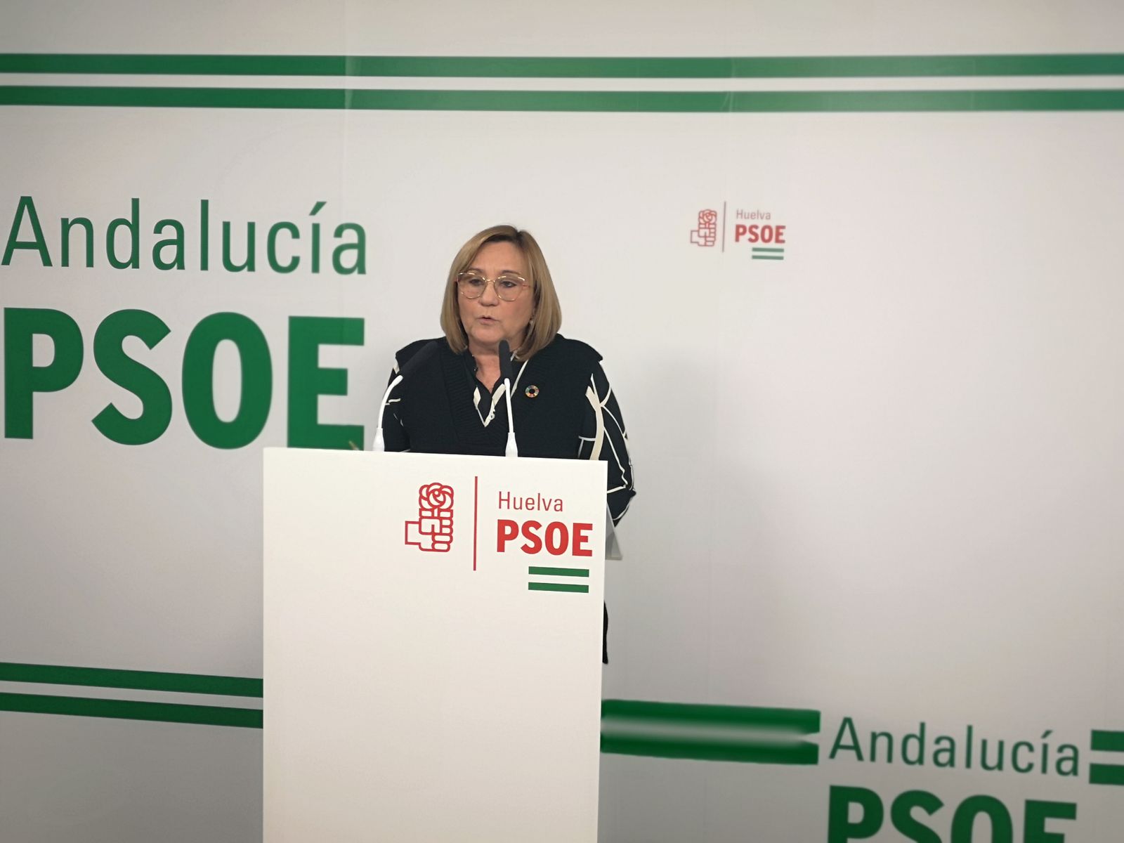 La coordinadora general de la Comisión Gestora del PSOE de Huelva, María Luisa Faneca.