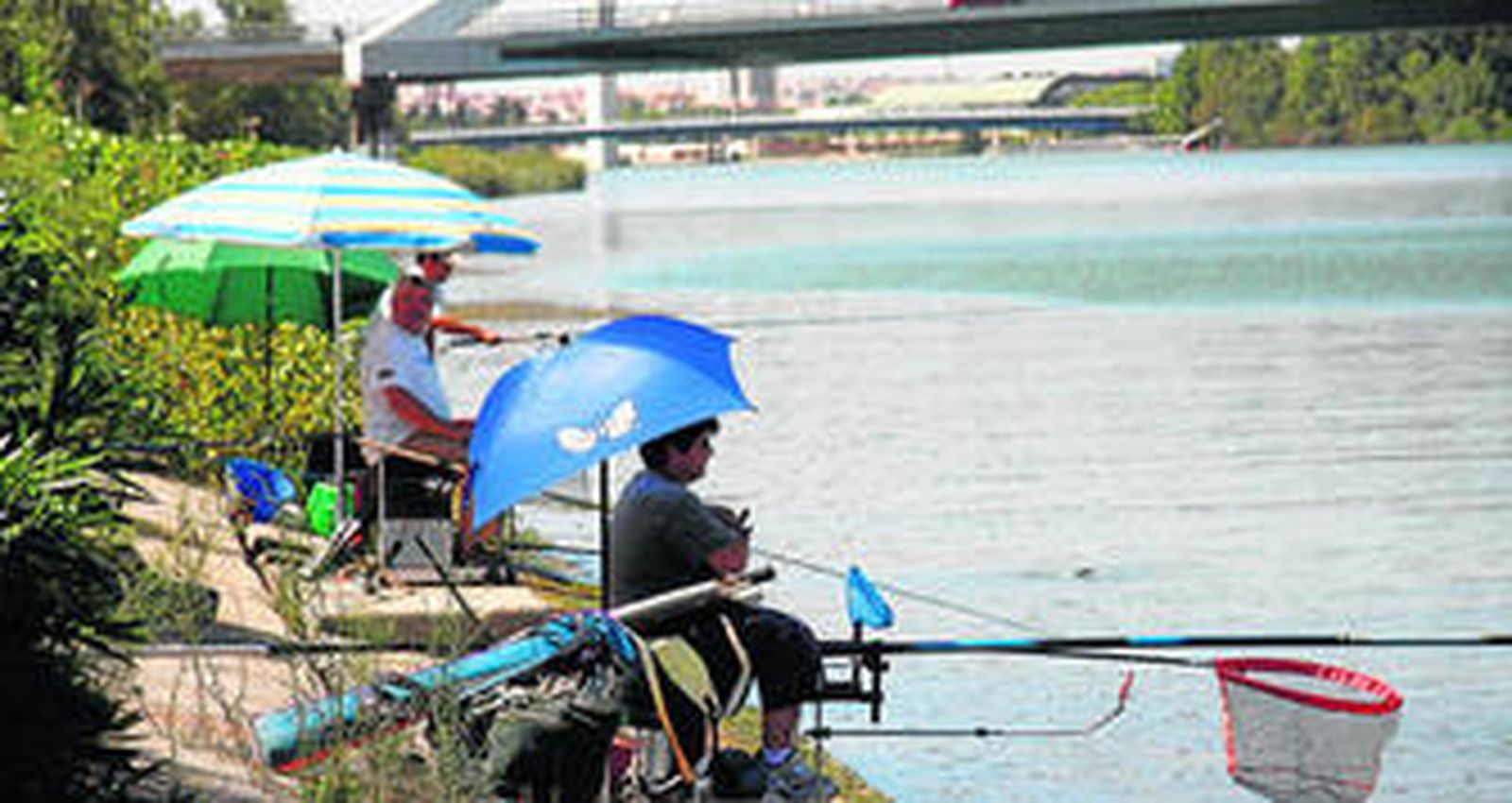 Días de calor, años de hielo