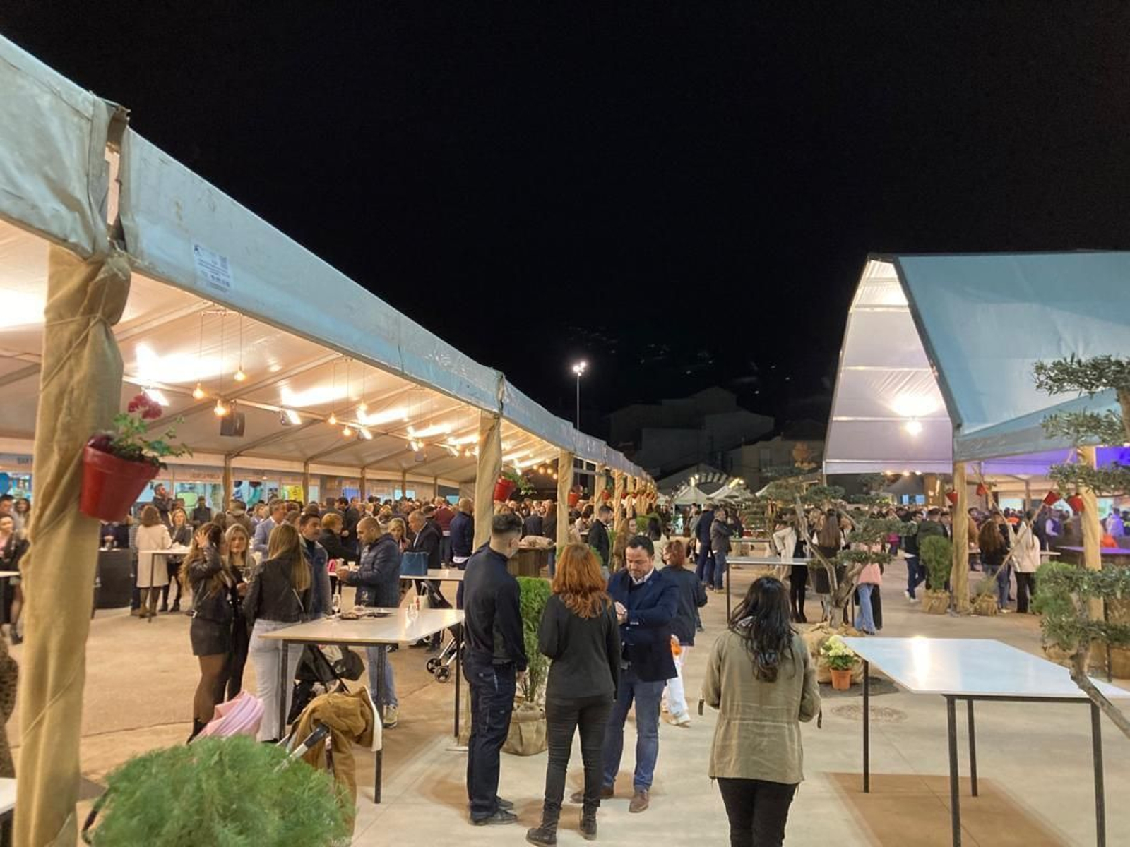 La inauguración de la Feria del Vino de Tinaja en Montalbán, en imágenes