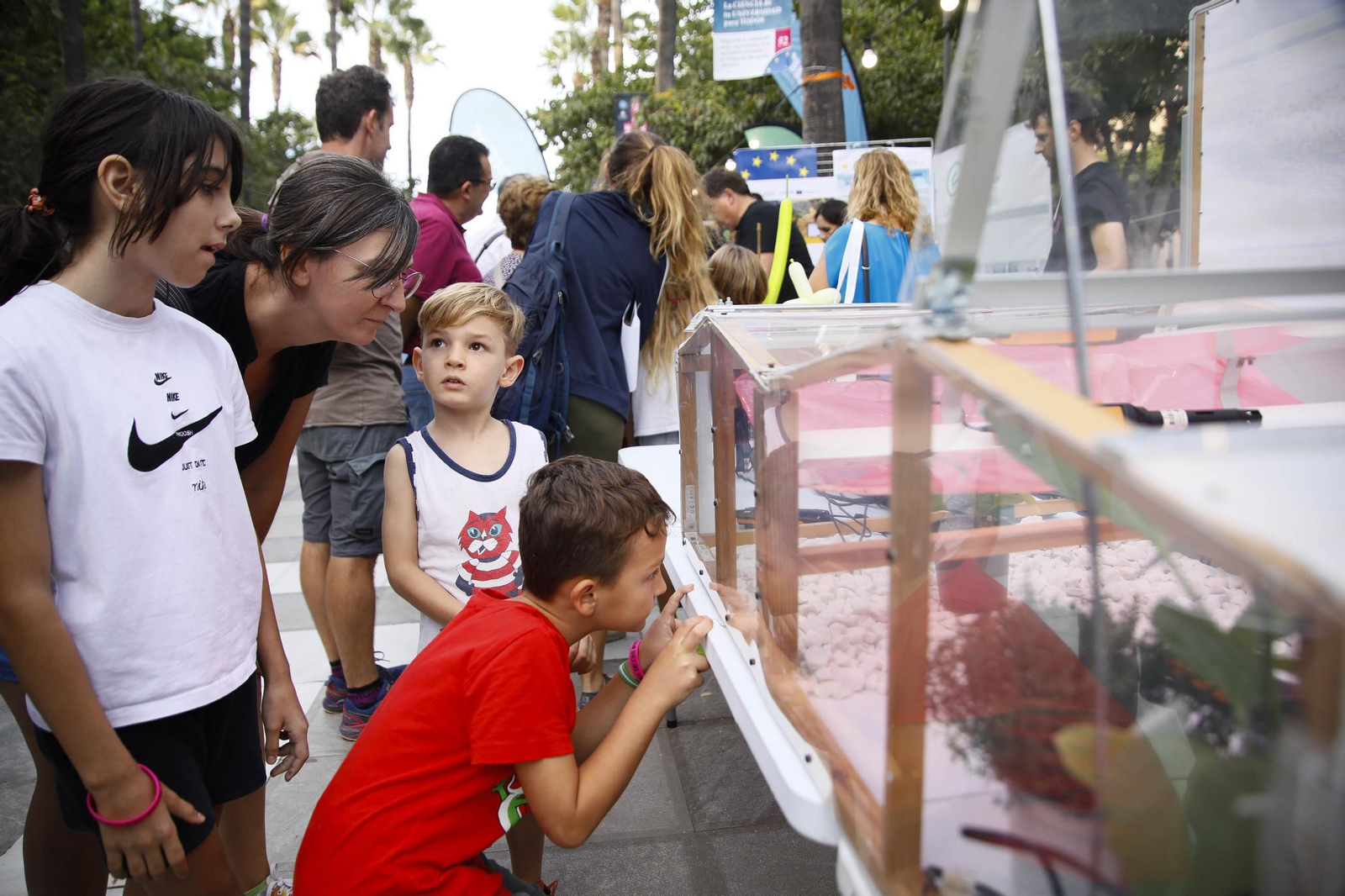 Las mejores imágenes de la Noche de los investigadores