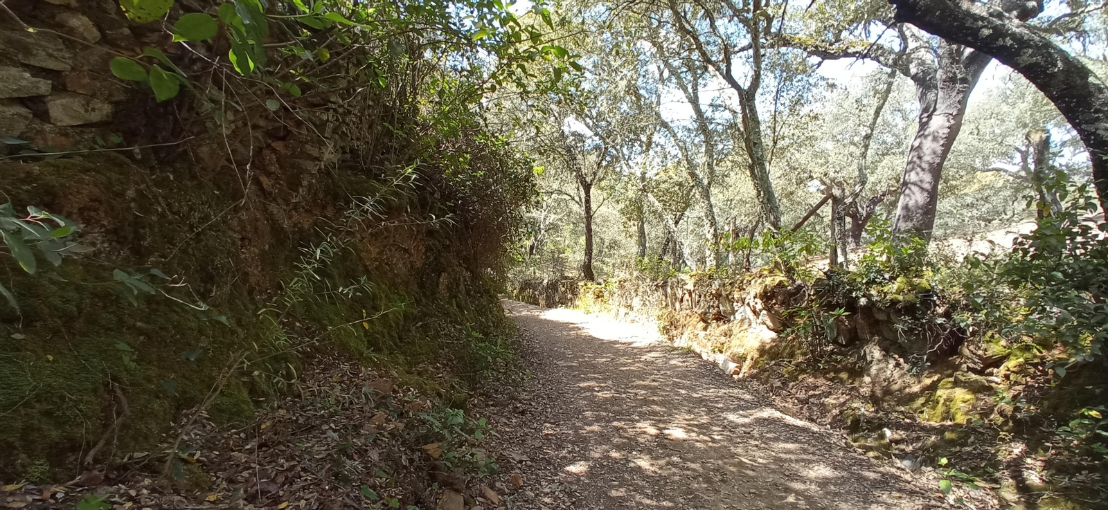 Las imágenes de la ruta de las casas de los Tres Cerditos