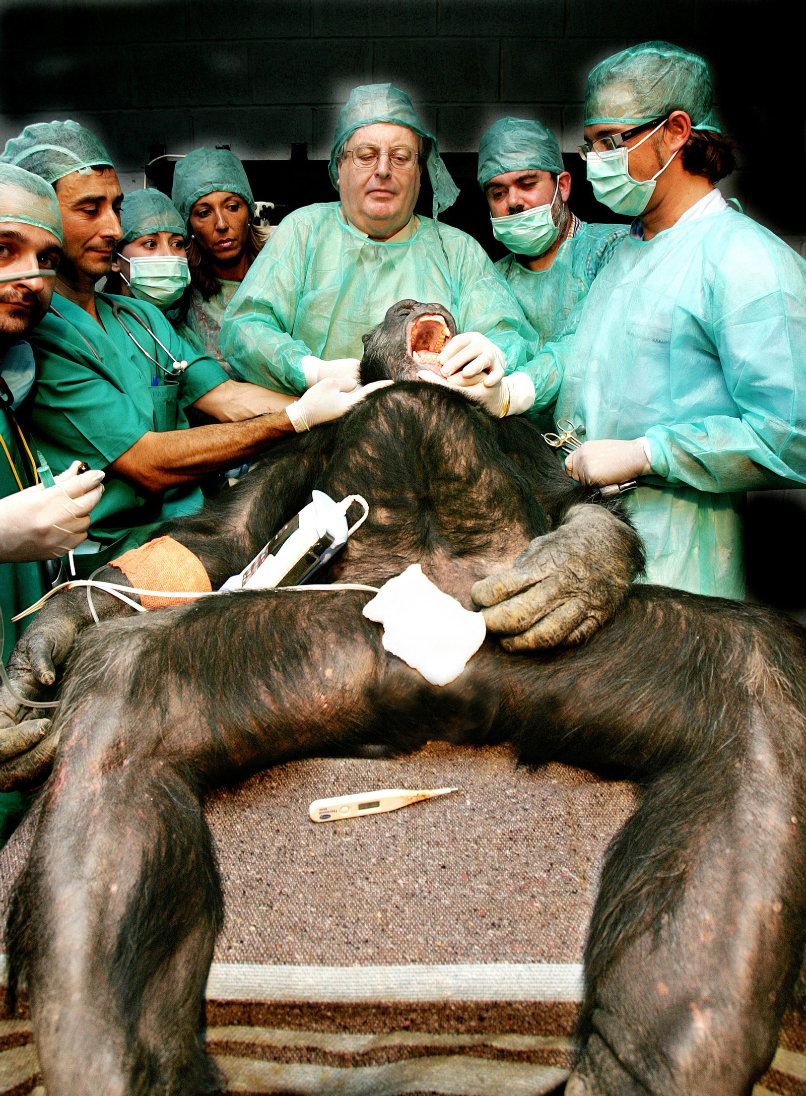 Recorrido gráfico por los 68 años del Zoobotánico en su aniversario