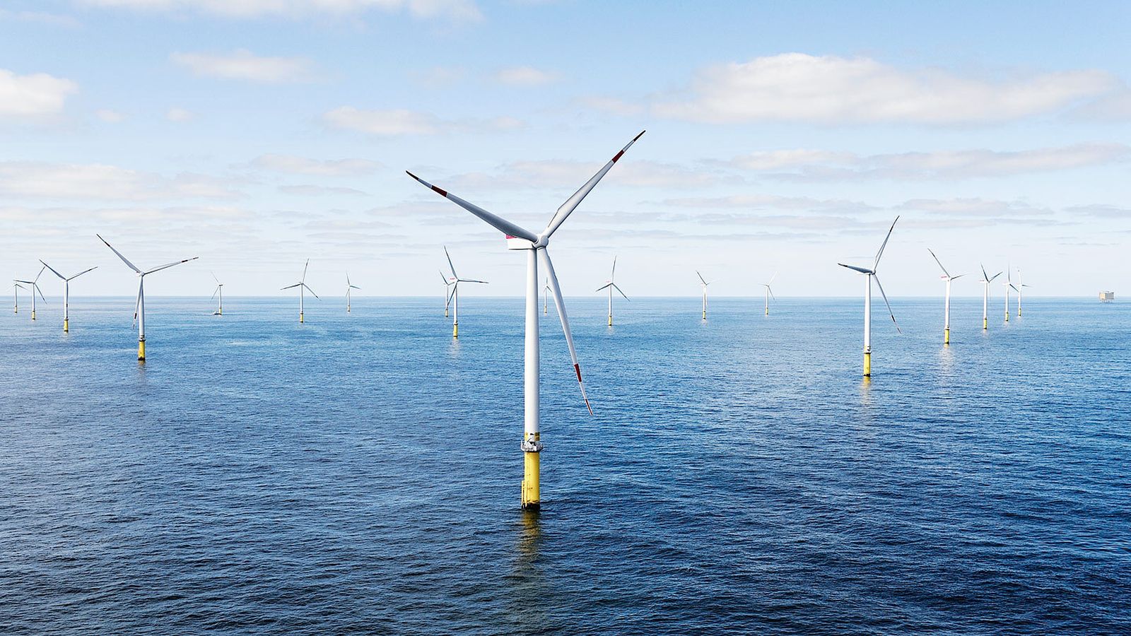 Vista panorámica de un parque eólico marino.