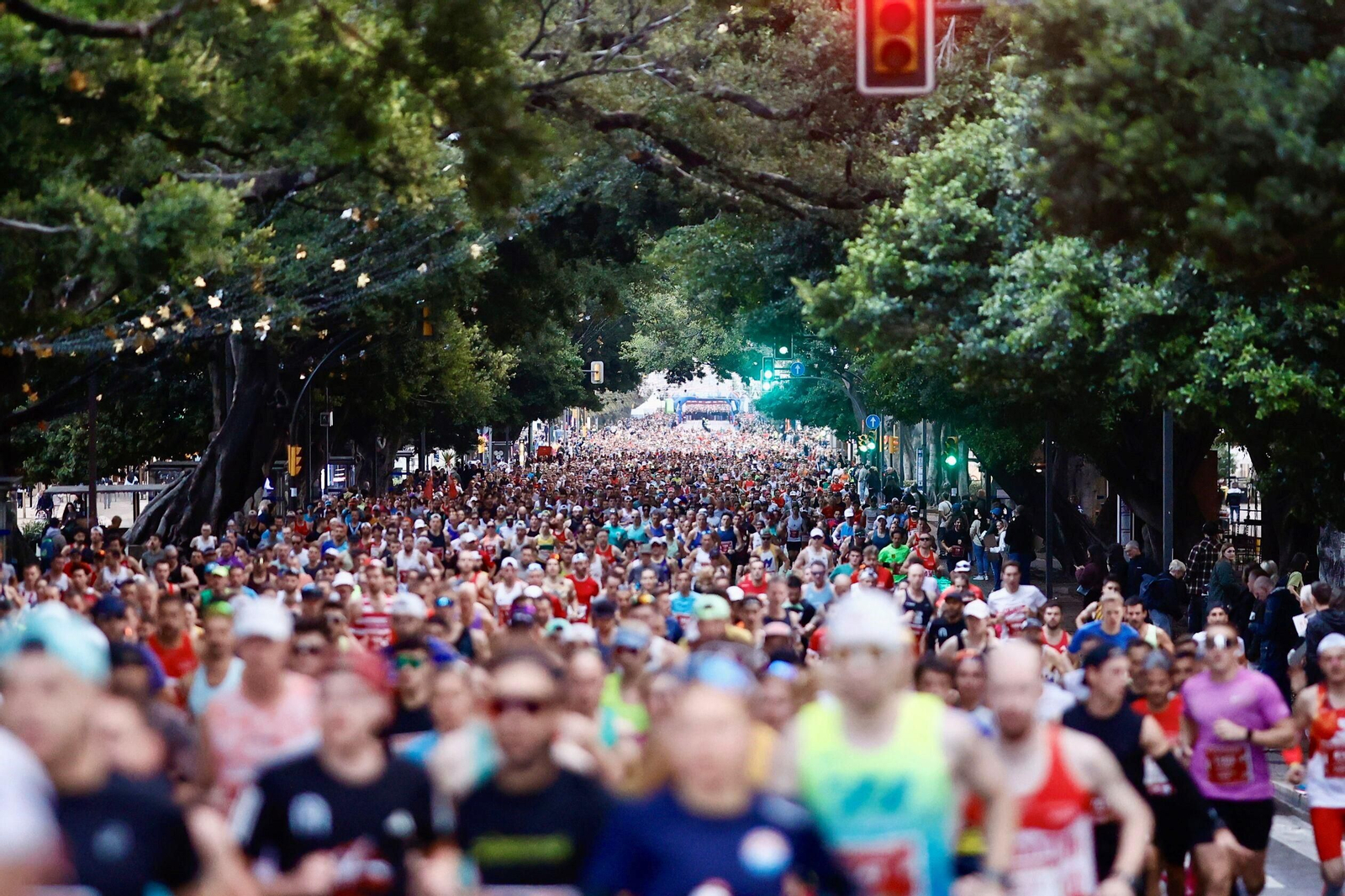 Las fotos de la Maratón de Málaga 2025