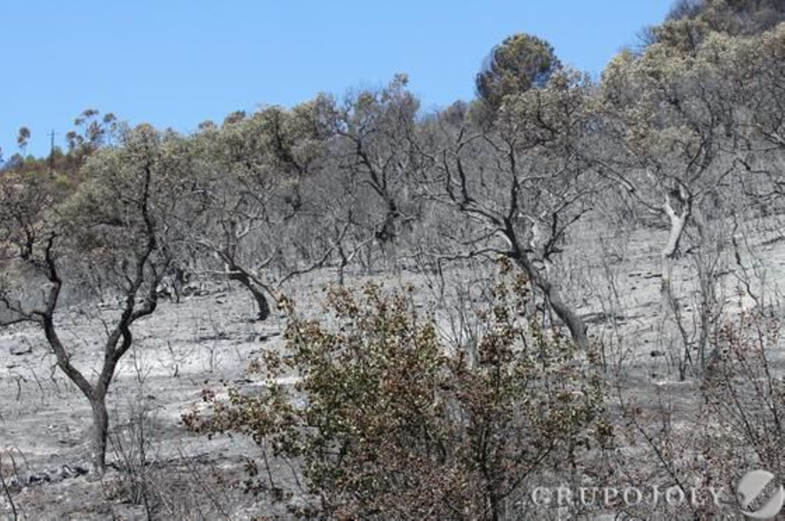 Foto: Alberto Domínguez