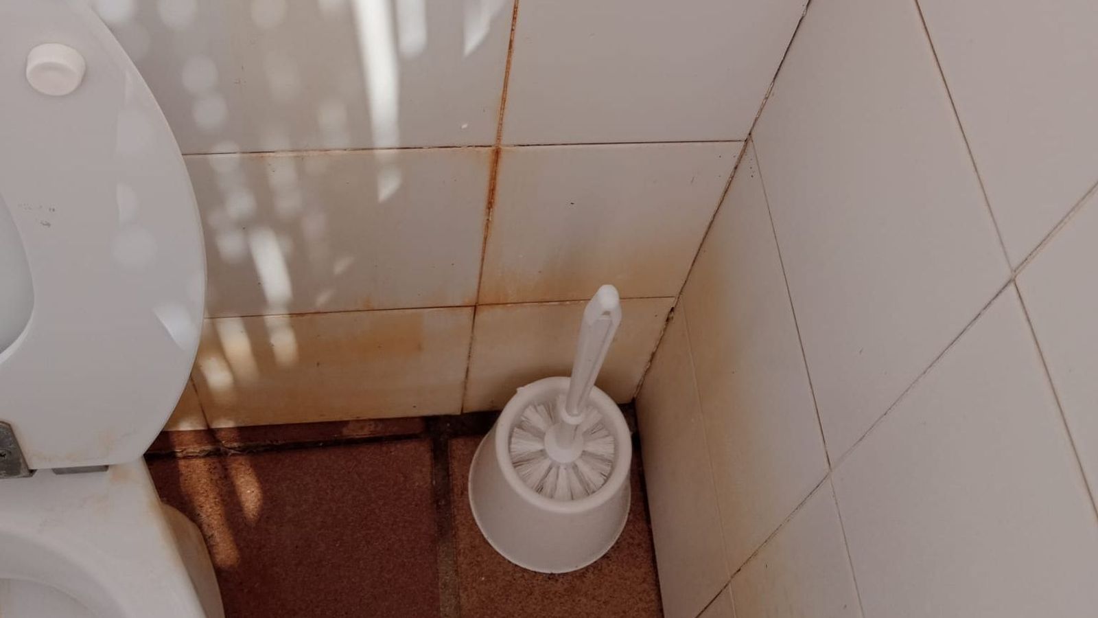 Estado de limpieza de los baños.