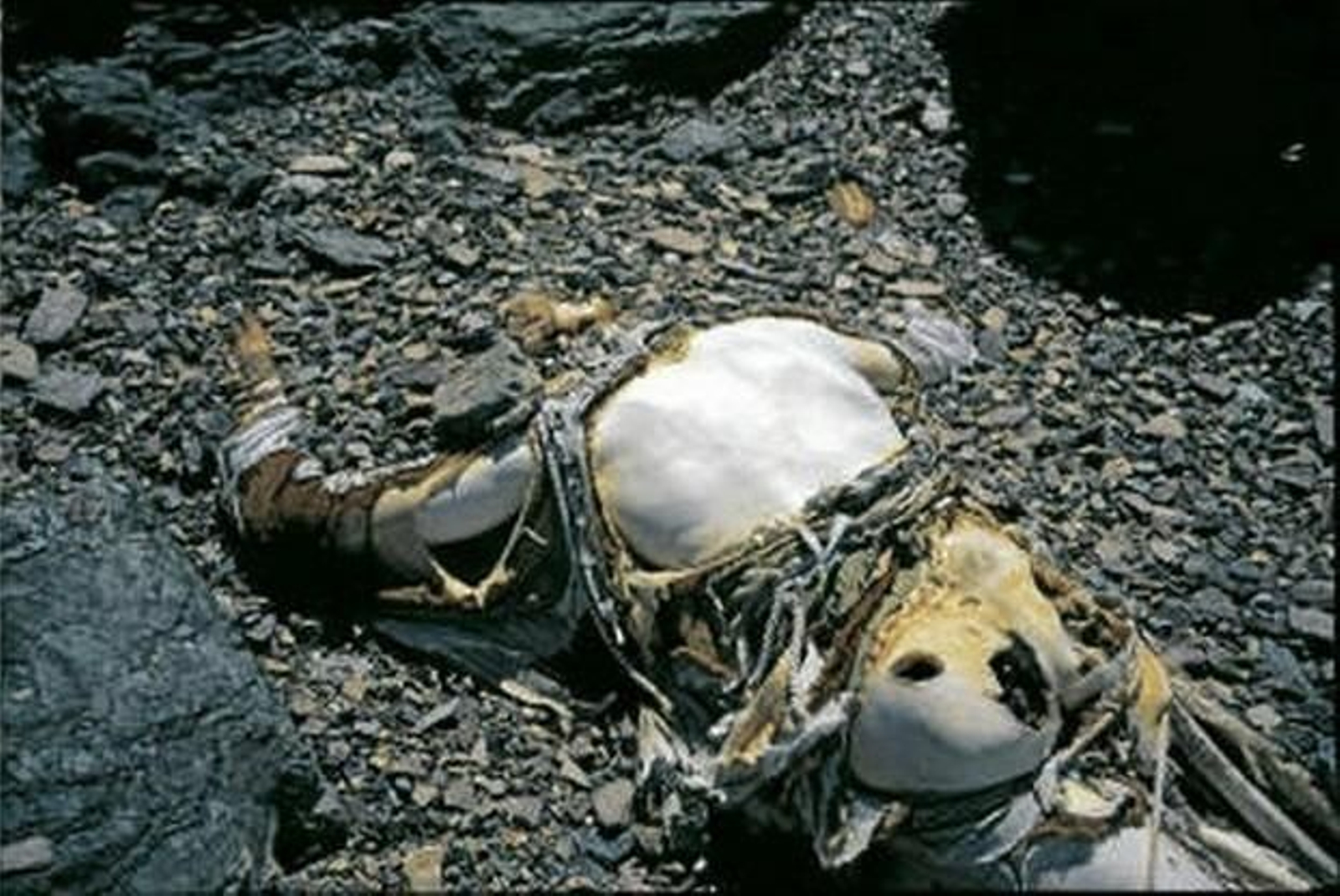 George Mallory David Mallory
