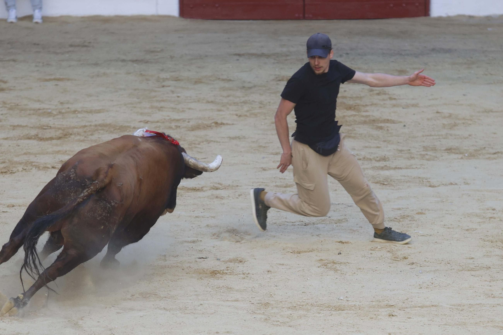 Fotos de los encierros del sábado del Toro Embolao en Los Barrios