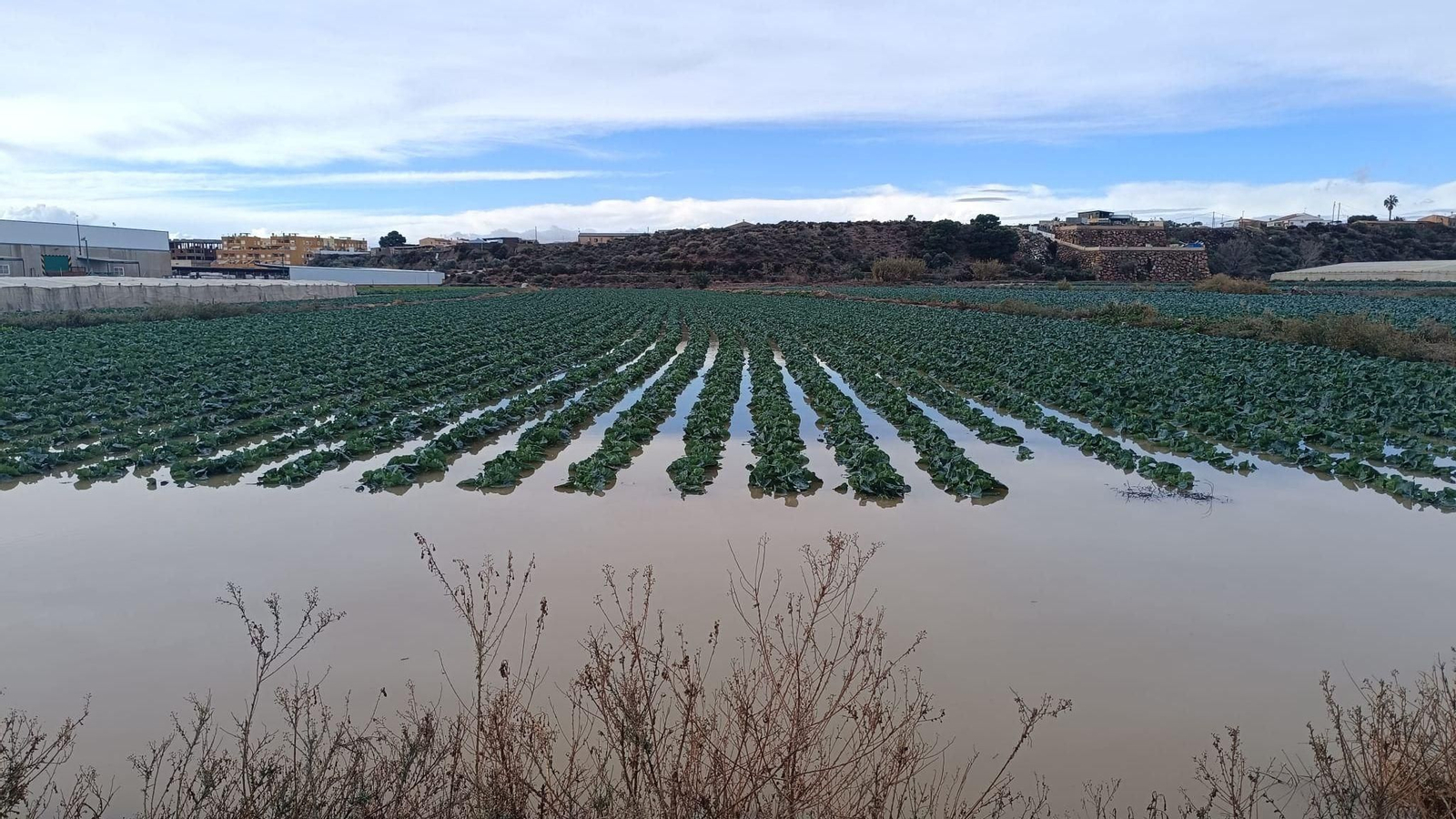 Terrenos afectados en el Levante por las últimas lluvias.