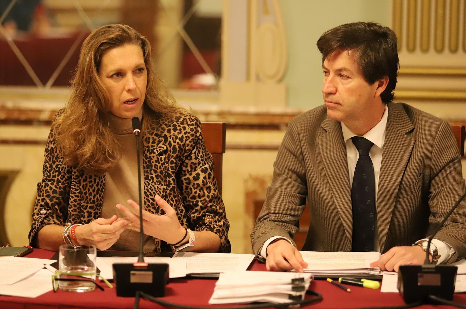 Imágenes del pleno celebrado en el Ayuntamiento de Huelva