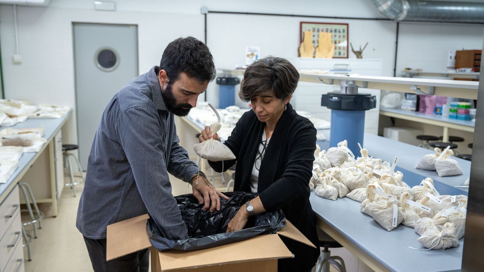 Personal de la UCO en el proceso de selección y embalaje de las semillas.