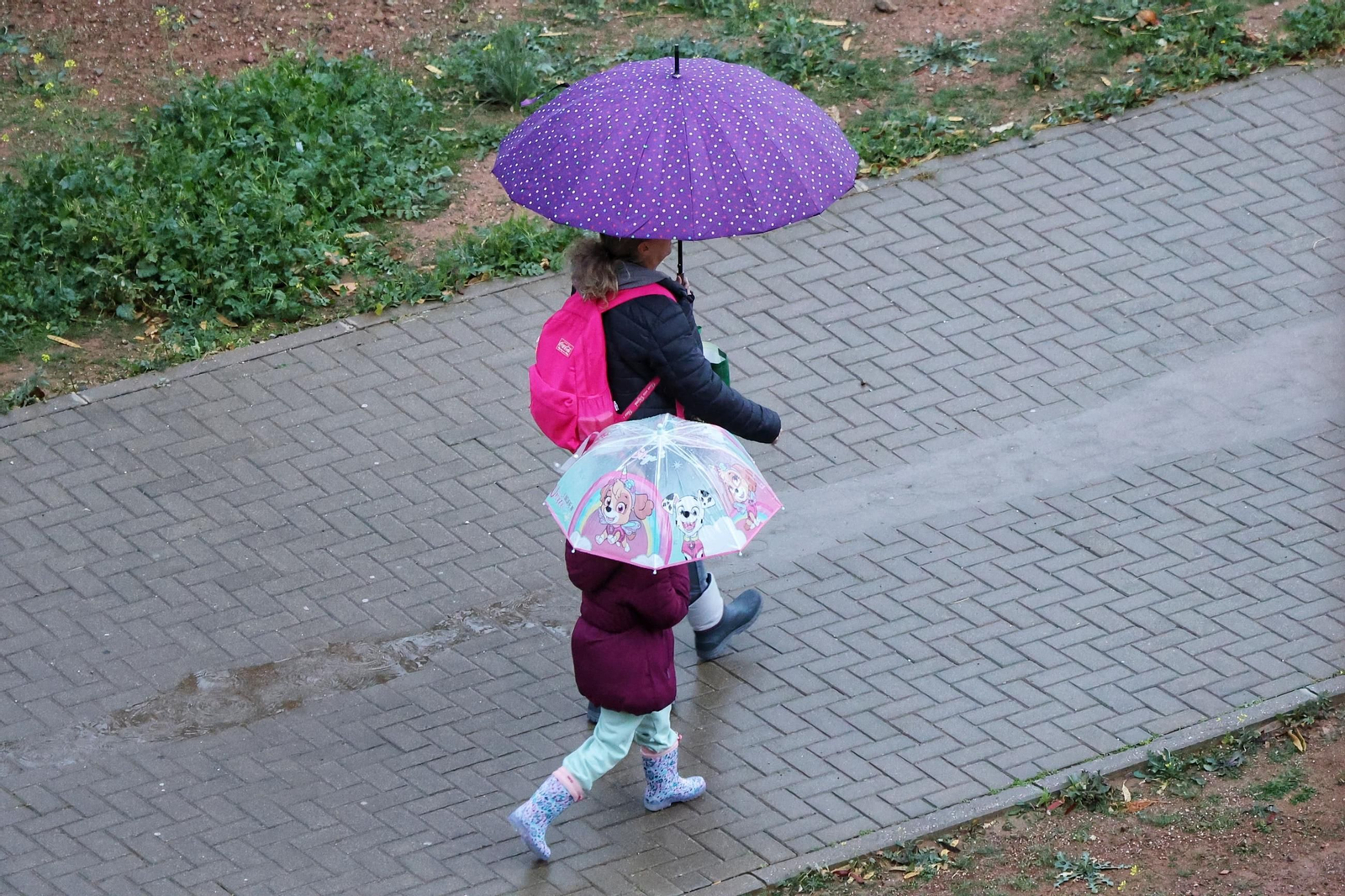Lluvias y tormentas en Málaga en la jornada de aviso naranja, en imágenes