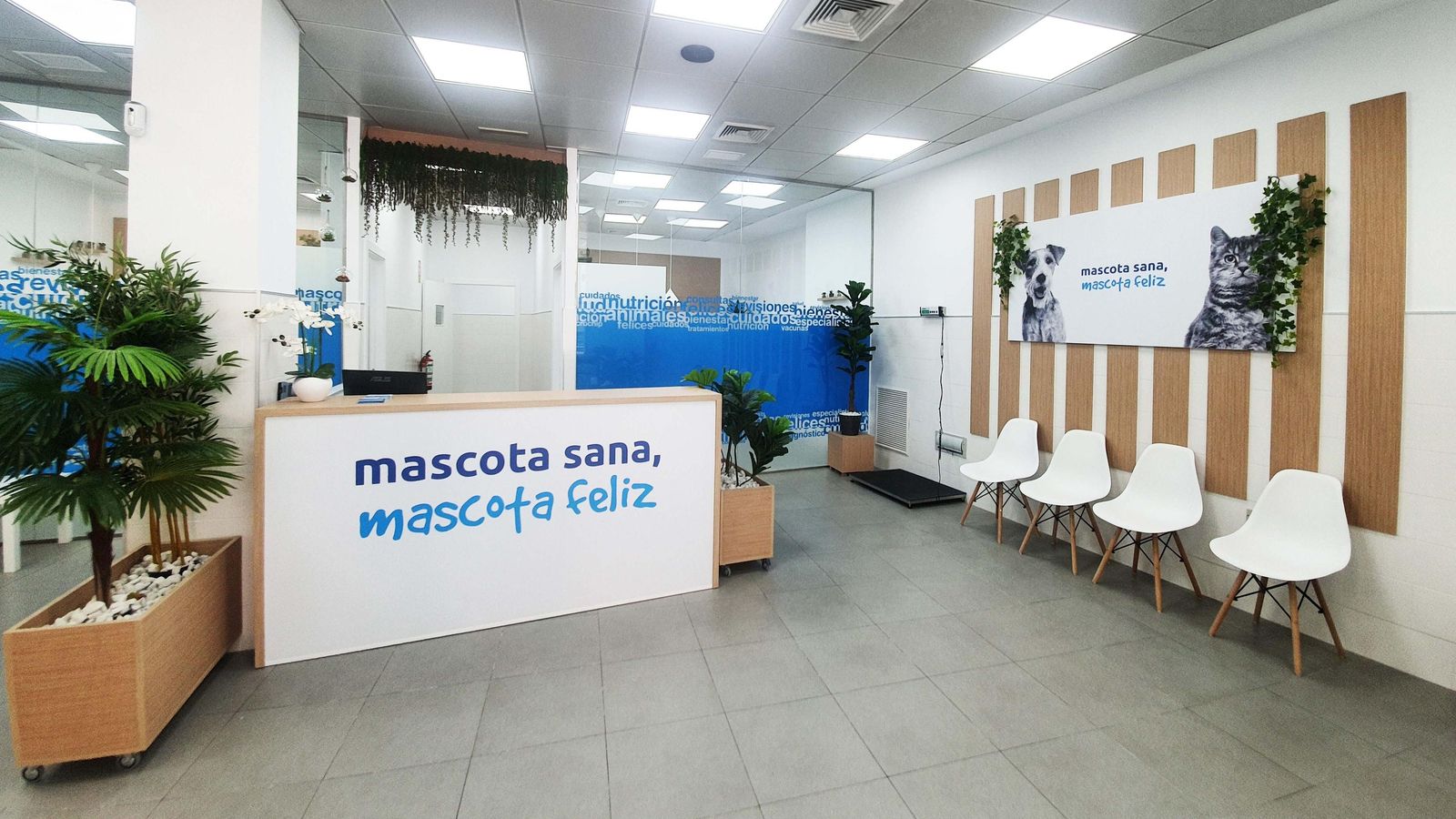 Otro de los espacios de la Clínica Veterinaria Ávila en León Herrero.