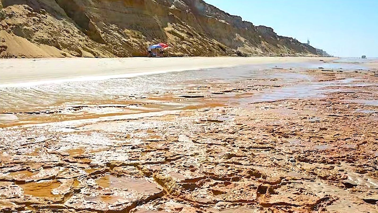 Un estudio de expertos confirma que el pasado humano de Andalucía empieza en Huelva