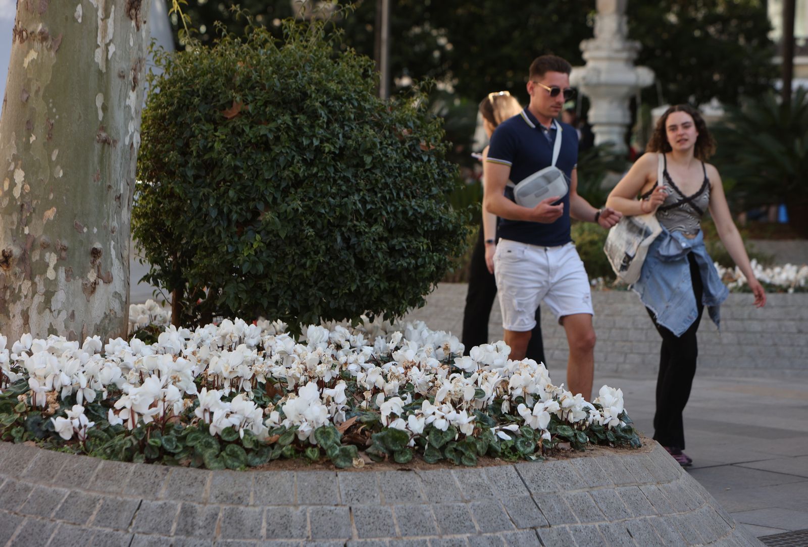 Comienzo de la primavera en Sevilla