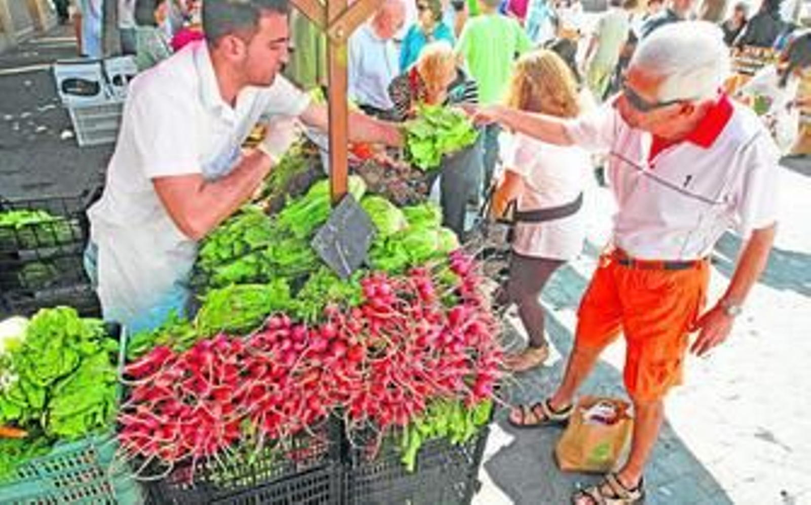 Lechugas y rábanos fueron algunos de los productos ecológicos expuestos en el mercadillo de la Plaza Esteve.